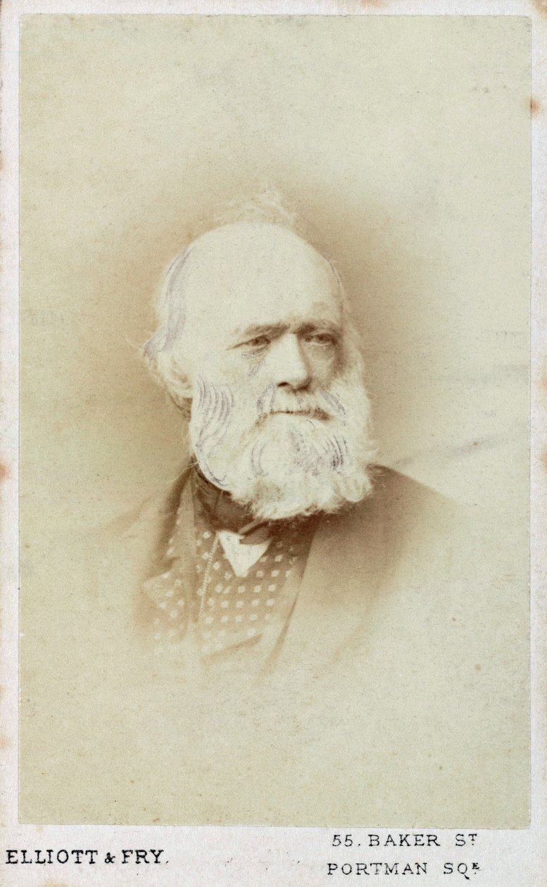 Sir Charles Lyell, englantilainen geologi, 1865-1875 tekijältä Unbekannt