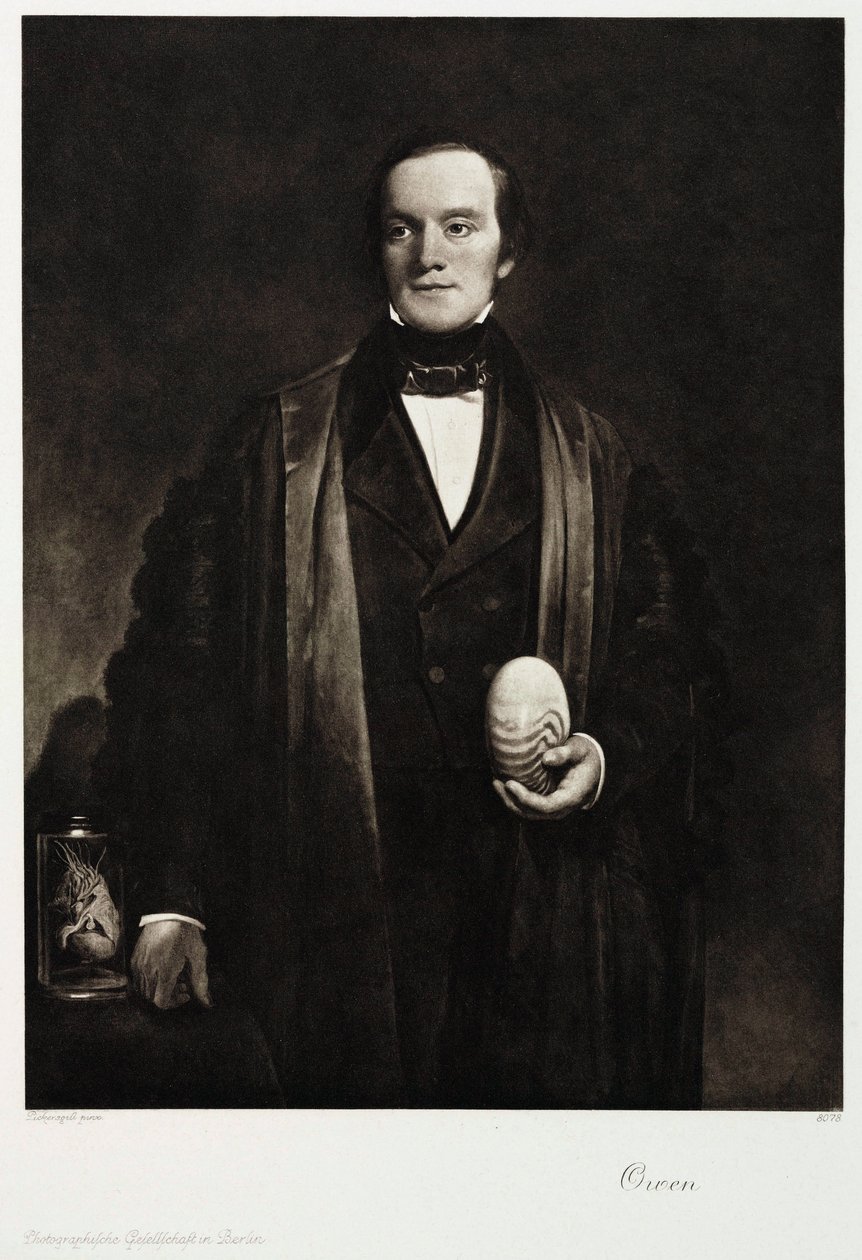 Sir Richard Owen, englantilainen luonnontieteilijä ja paleontologi, n. 1845 tekijältä Unbekannt