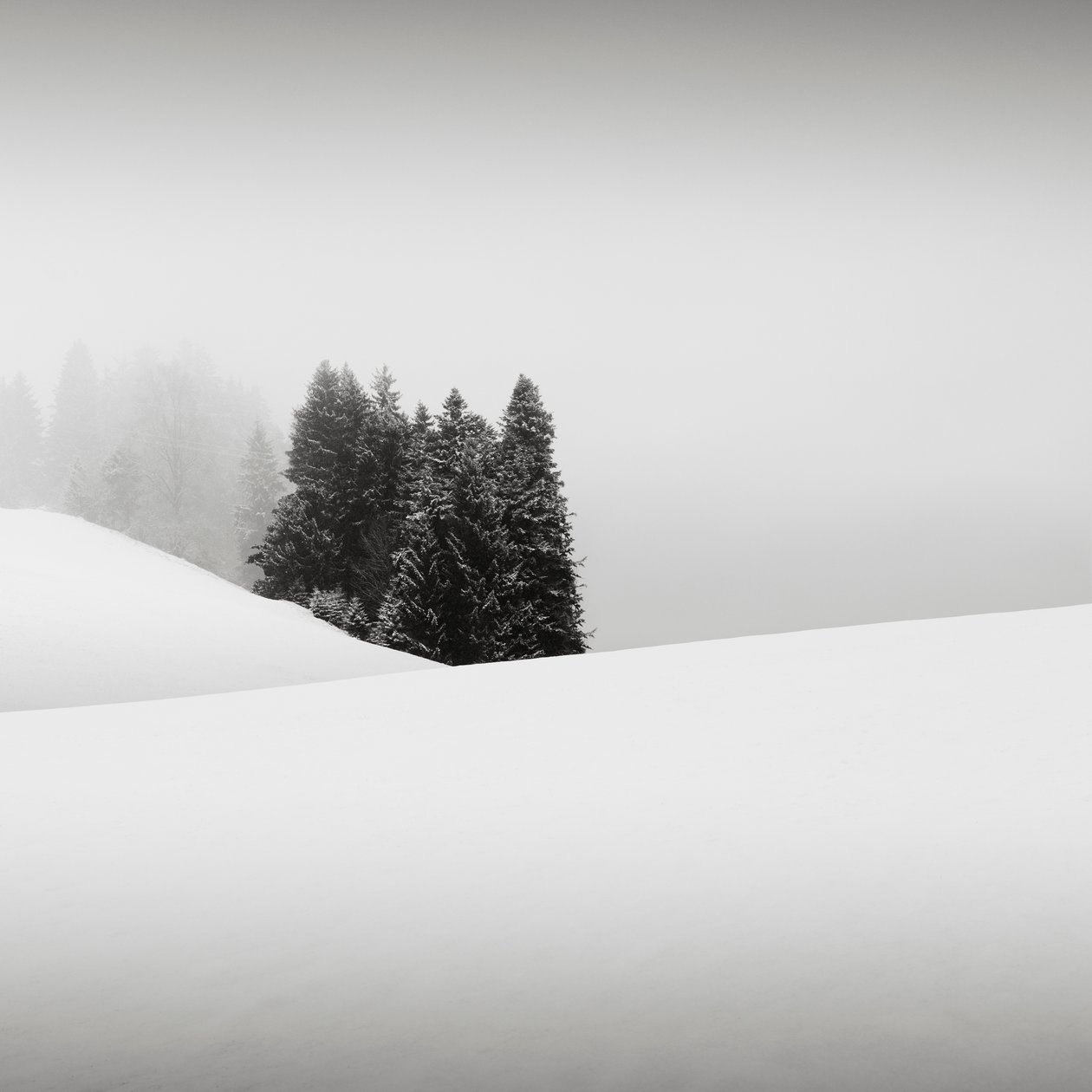 Snowytales Oasis, Baijeri, Saksa, 2013 (m/v kuva) tekijältä Leopold Blonder