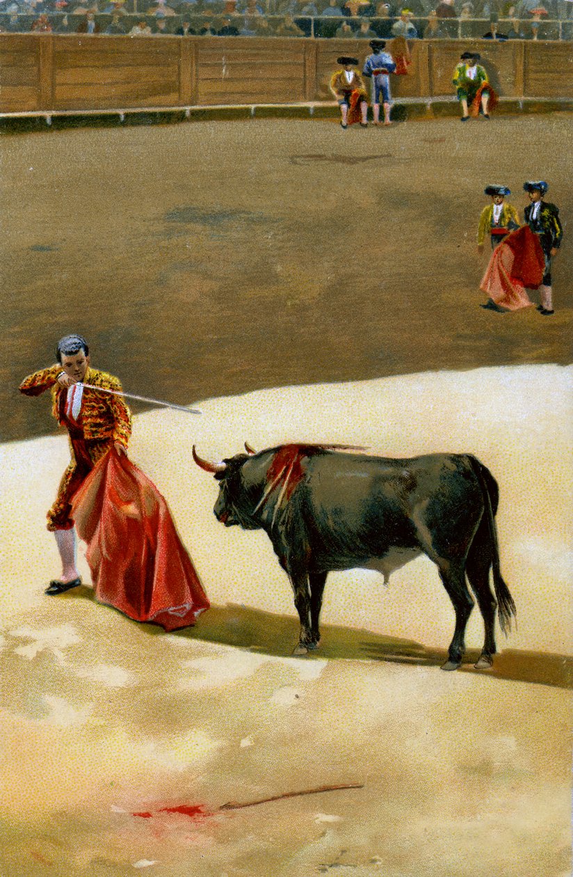 Urheilu. Härkätaistelut. Miekkaa työntävä matador: estocada. Kuvitus, Saksa, n.1920. tekijältä Unbekannter Künstler