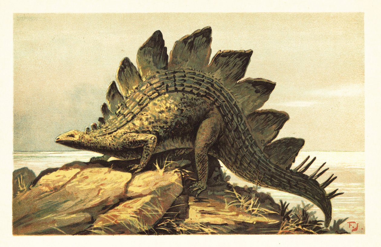 Stegosaurus, sukupuuttoon kuollut kasvinsyöjädinosaurukset. 1908 (litografia) tekijältä Unbekannter Künstler