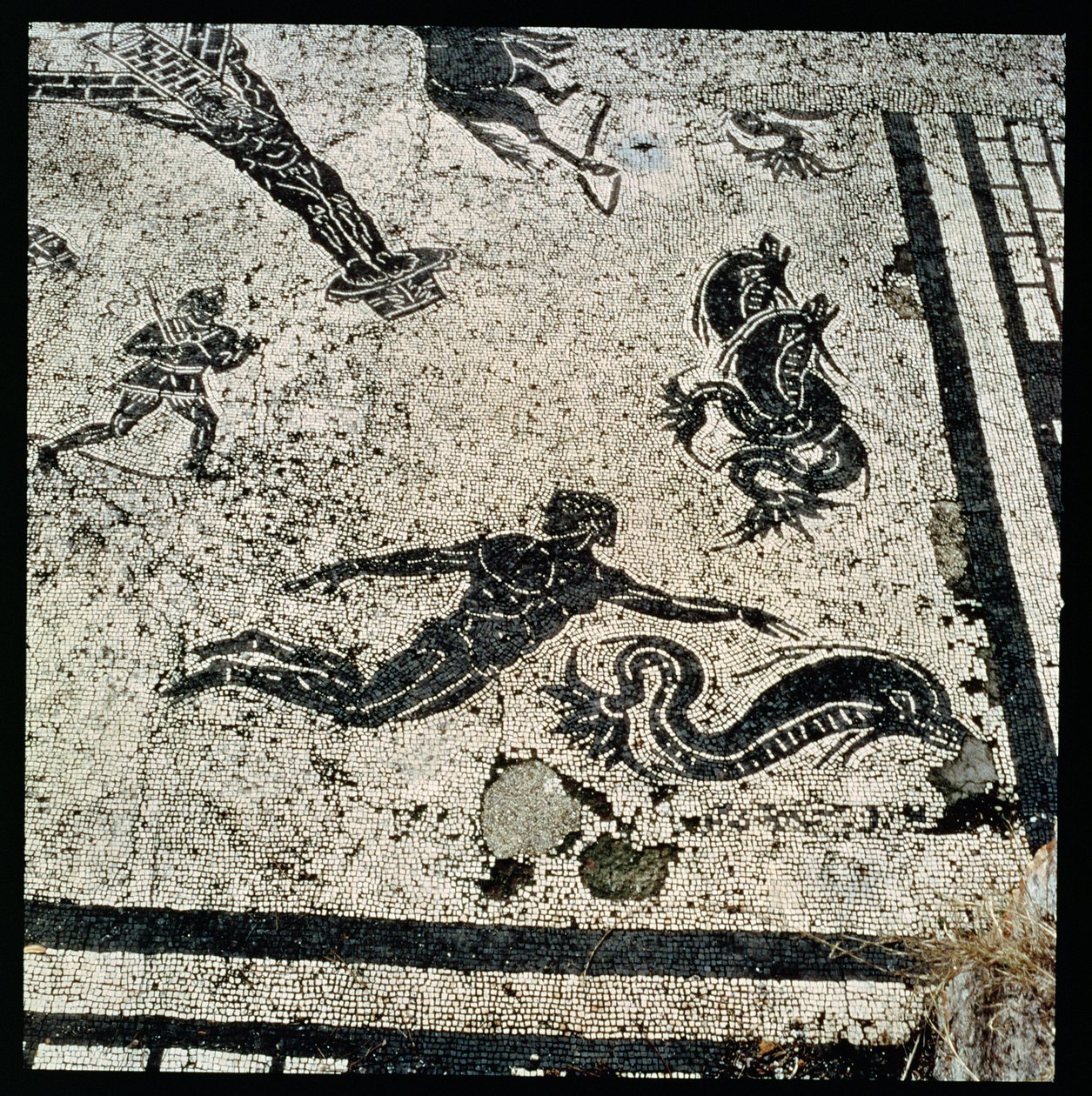 Uinti delfiinien kanssa, Frigidarium of the Baths Ostiassa, 2. vuosisadalla jKr (mosaiikki) tekijältä Unknown