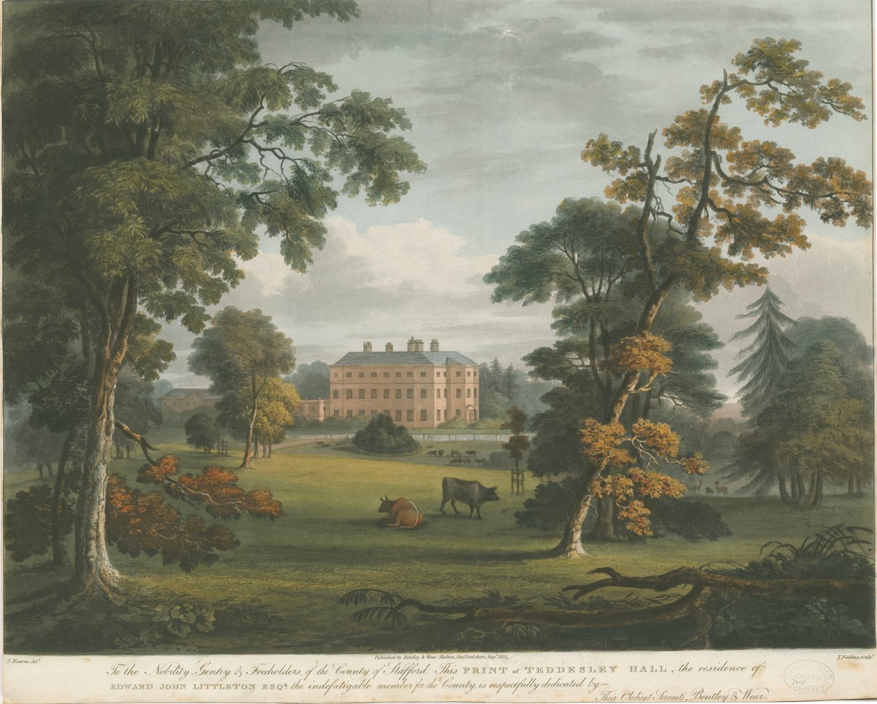 Teddesley Hall: värillinen akvatintakaiverrus, nd [c 1825] tekijältä Unbekannt
