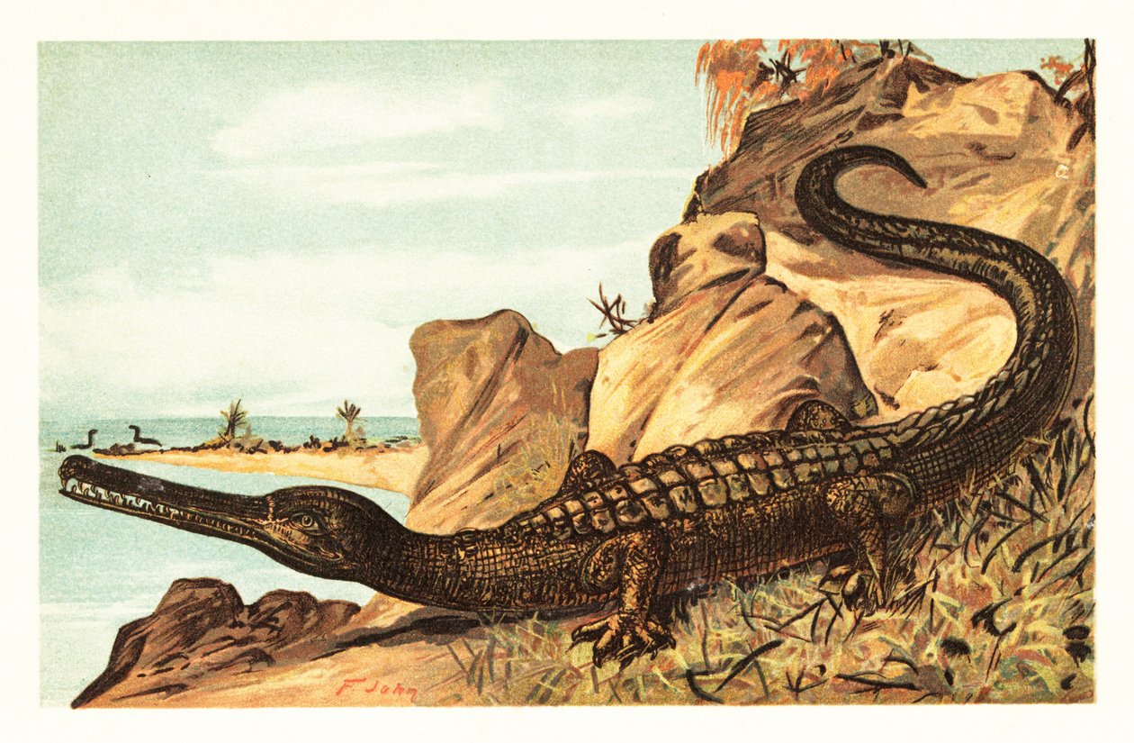 Teleosaurus cadomensis, sukupuuttoon kuollut merikrokotiililaji.1908 (litografia) tekijältä Unbekannter Künstler