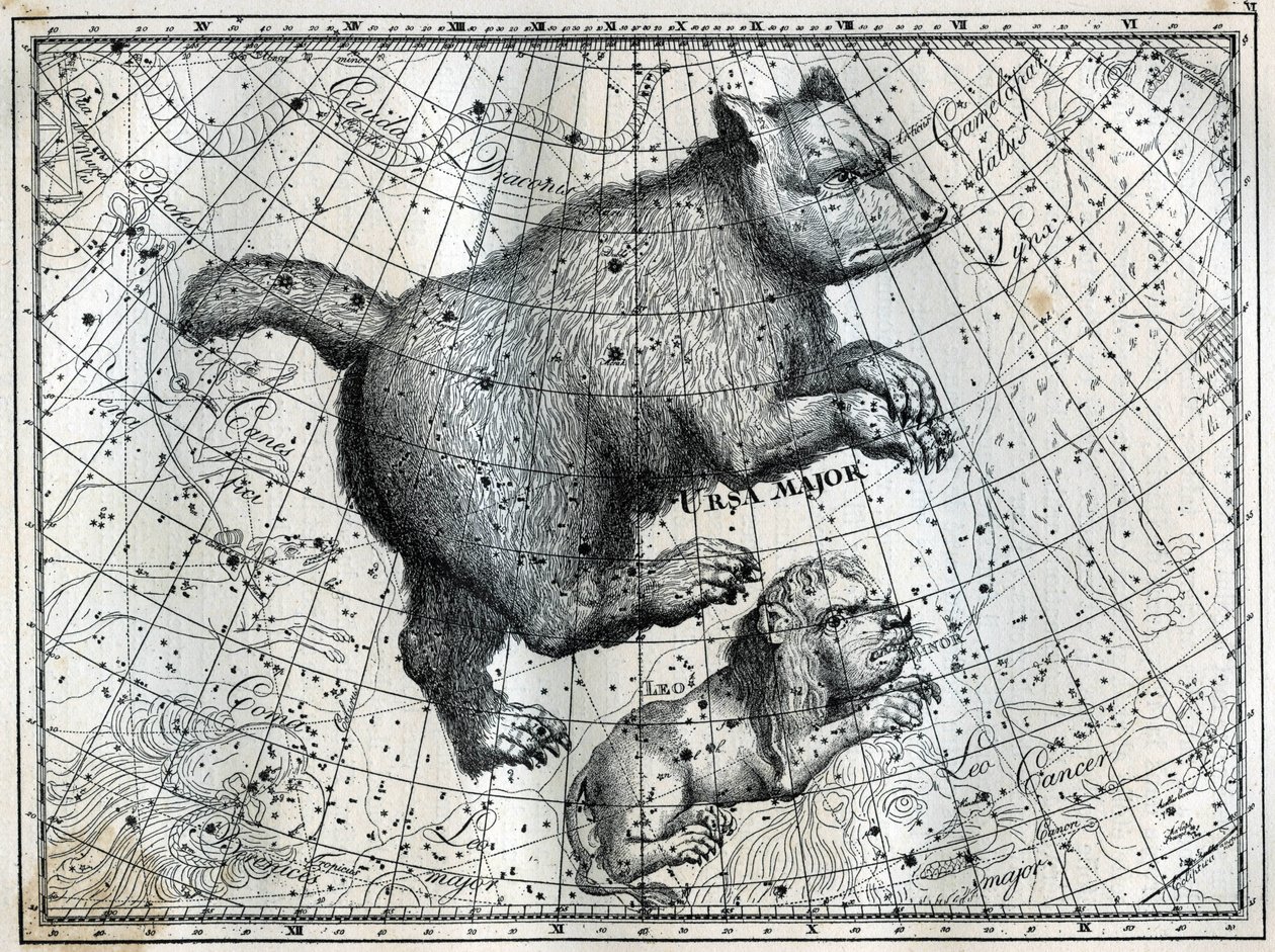 Boreaaliset tähtikuviot: Suuri karhu ja pieni leijona. Kaiverrus Camille Flammarionin teoksesta "The Stars and Other Curiosities of the Sky" tekijältä Unbekannt