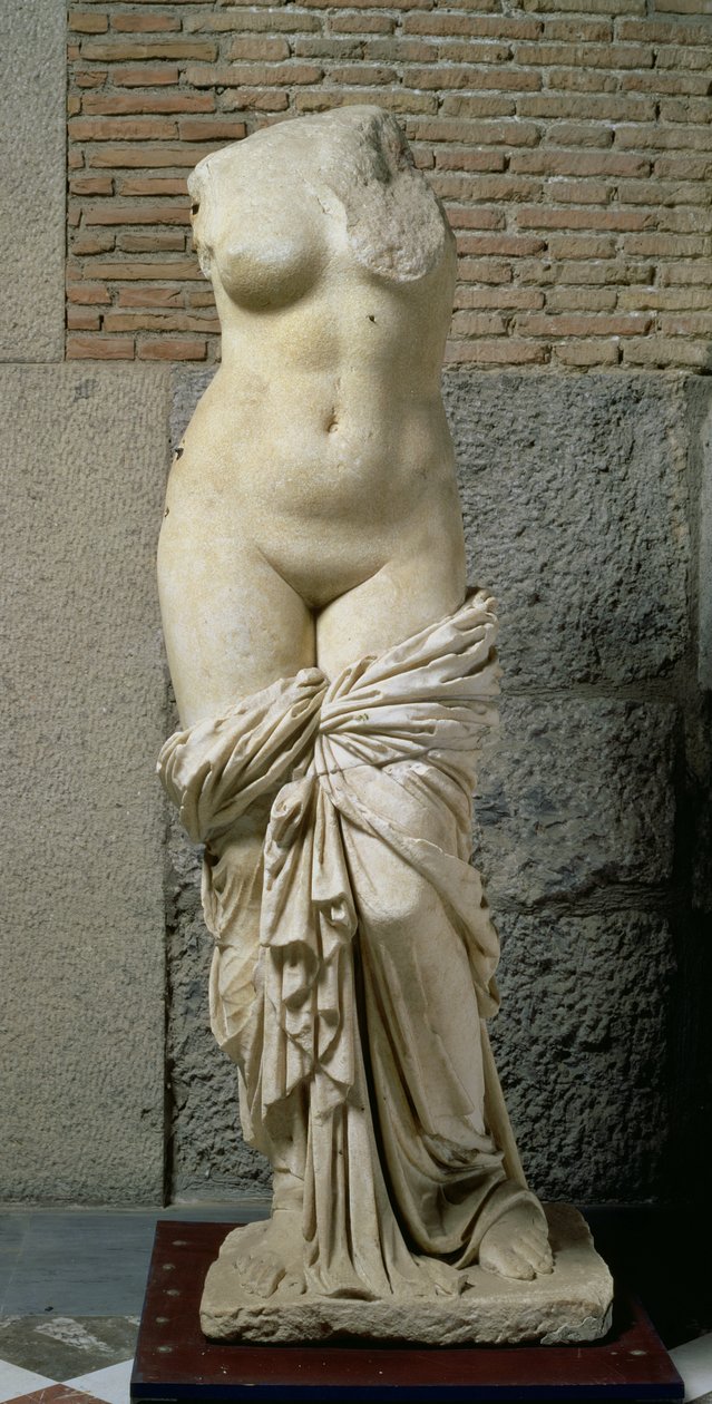 Sinuessa Aphrodite (marmori) tekijältä Unbekannt