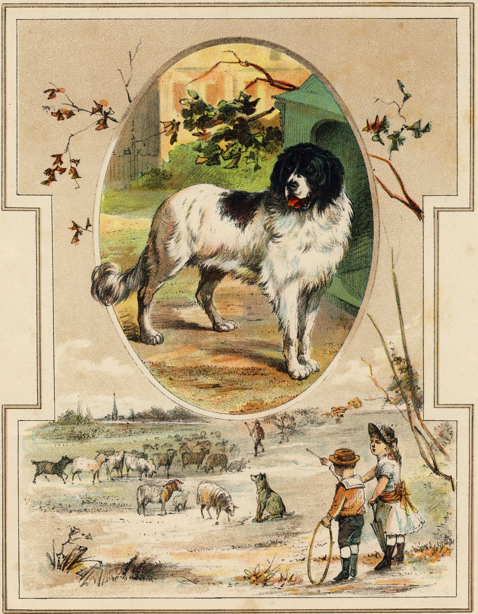 Koira. Kaiverrus "Mon premier Grand Alphabet". Bernardin-Bechet Edition, Pariisi, noin 1890. Kuvitukset: A. des Lilleuls. Ei sivua, 46 sivua. Mitat: 31 x 22 cm. tekijältä Unbekannt