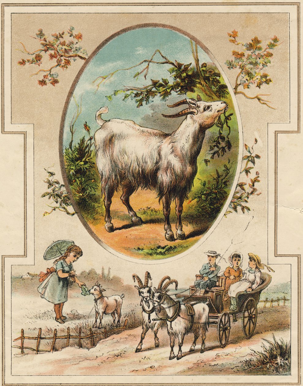 Vuohi. Kaiverrus "Mon premier Grand Alphabet". Bernardin-Bechet Edition, Pariisi, noin 1890. Kuvitukset: A. des Lilleuls. Ei sivua, 46 sivua. Mitat: 31 x 22 cm. tekijältä Unbekannt