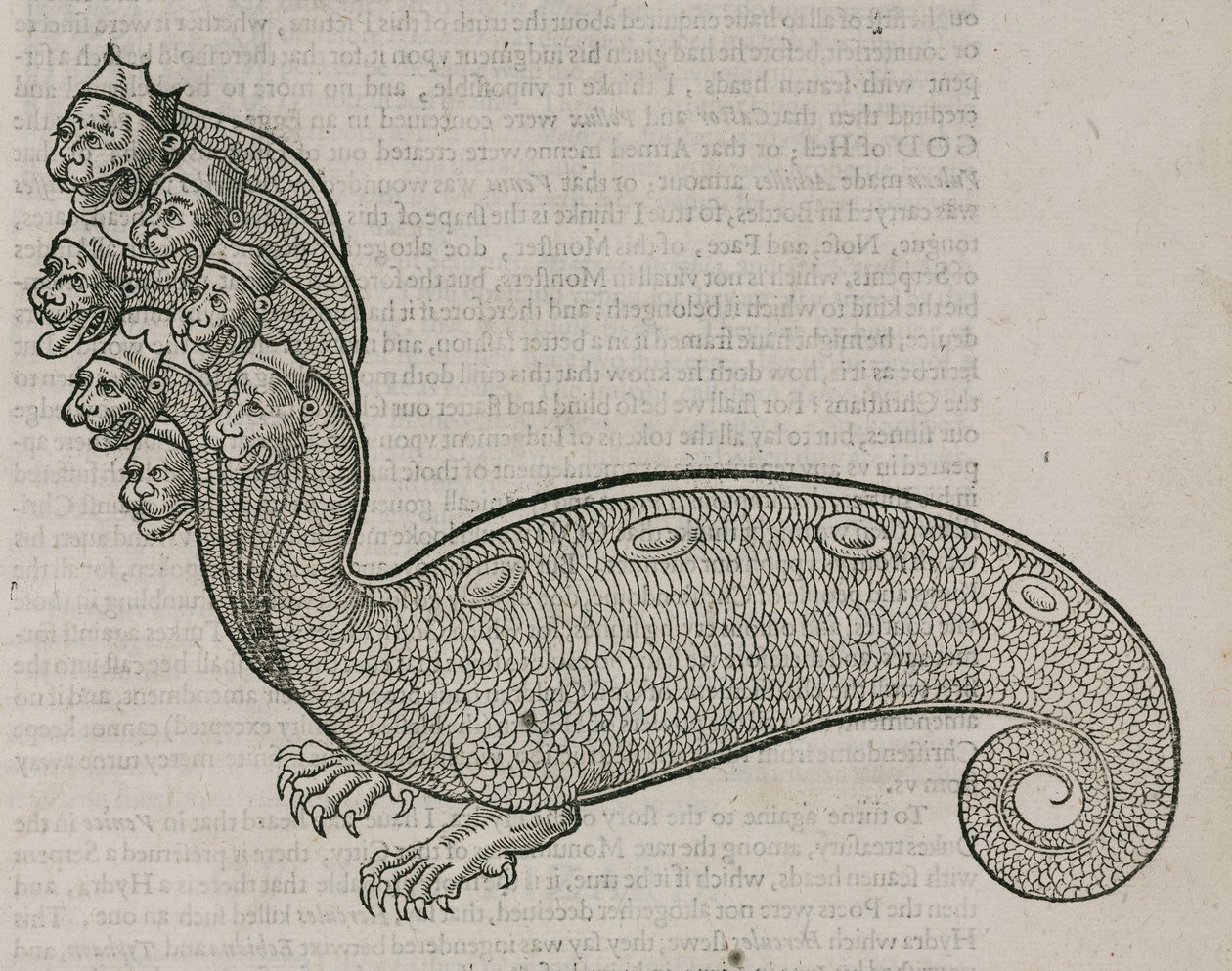 Hydra tekijältä Unbekannt