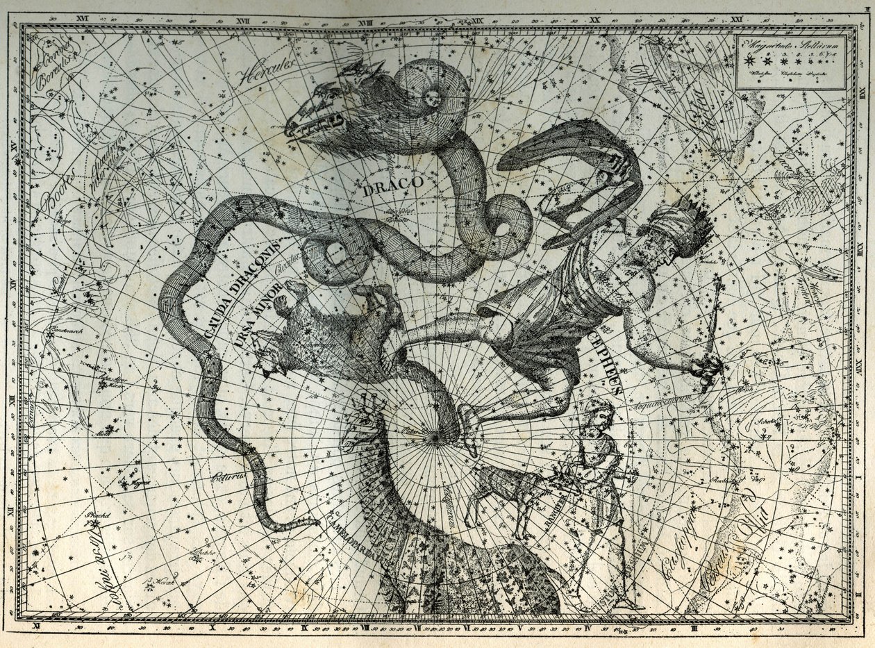 Lähistöllä olevat pohjoisnavan tähtikuviot: Pikku karhu, lohikäärme, kefe, kirahvi, poro ja messier. Kaiverrus Camille Flammarionin teoksesta "The Stars and Other Curiosities of the Sky" tekijältä Unbekannt