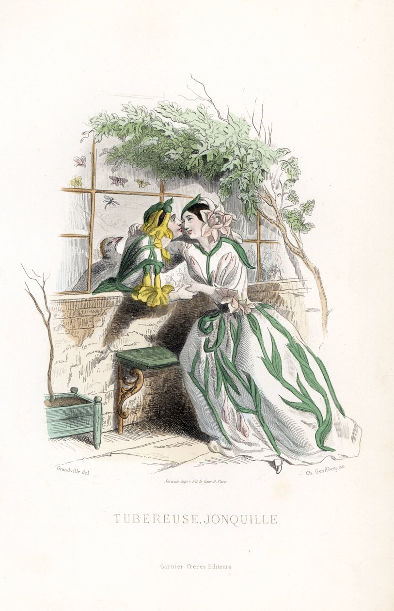 Mukulamaksu ja tonttunarsissi kosiskelevat puutarhan penkillä, seinän vieressä - Eau forte Charles Geoffroy (1819-1882), Jean Ignace Isidore Gerard dit J.J.Granville (1803-1847), kuvitus Les fleurs animees -teokseen. tekijältä Unbekannter Künstler
