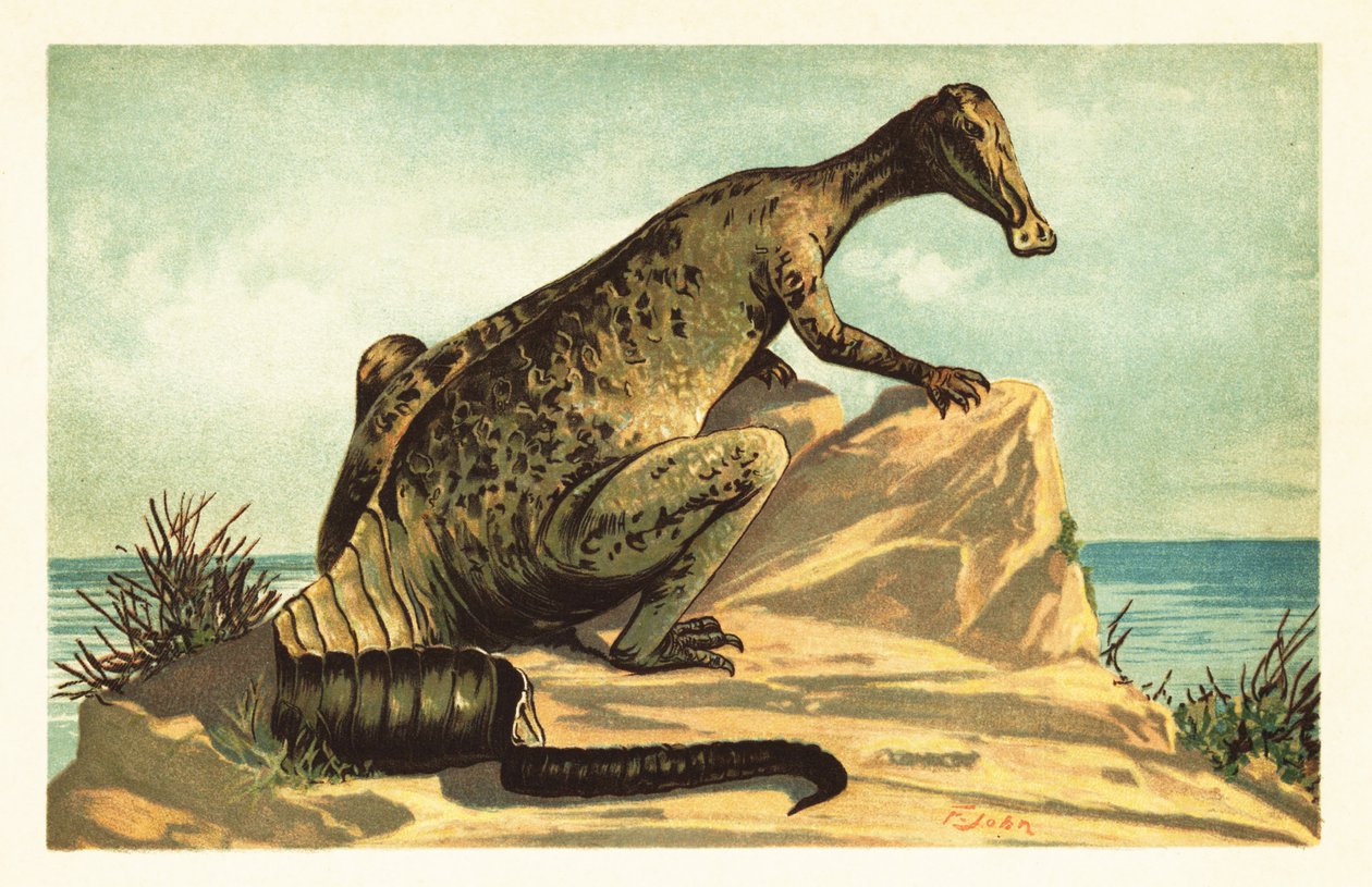 Trachodon mirabilis, sukupuuttoon kuollut hadrosaurad dinosaurus.1908 (litografia) tekijältä Unbekannter Künstler