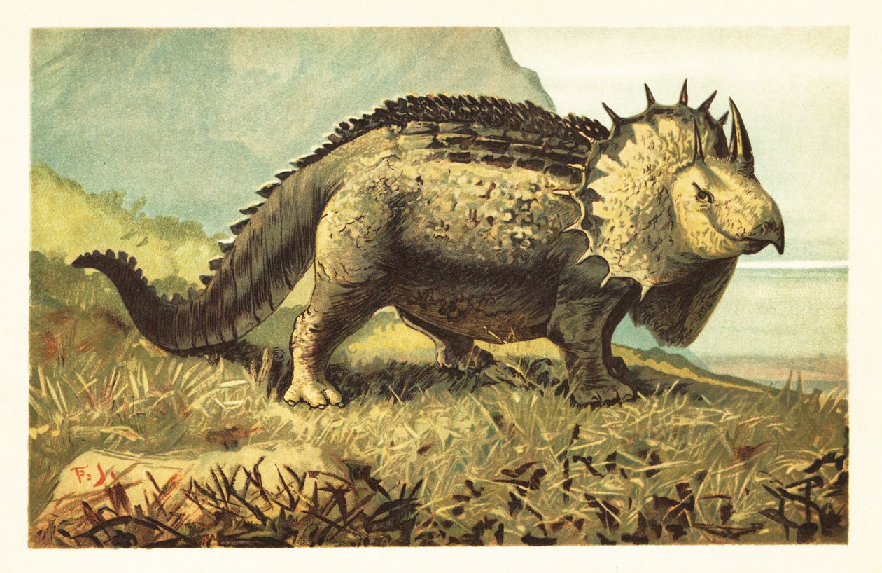 Triceratops prorsus, sukupuuttoon kuollut kasvinsyöjädinosaurus. 1908 (litografia) tekijältä Unbekannter Künstler