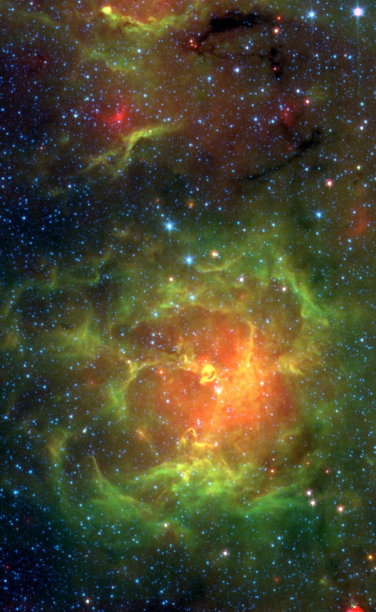 Trifid-sumu, c 2005 tekijältä Unbekannt