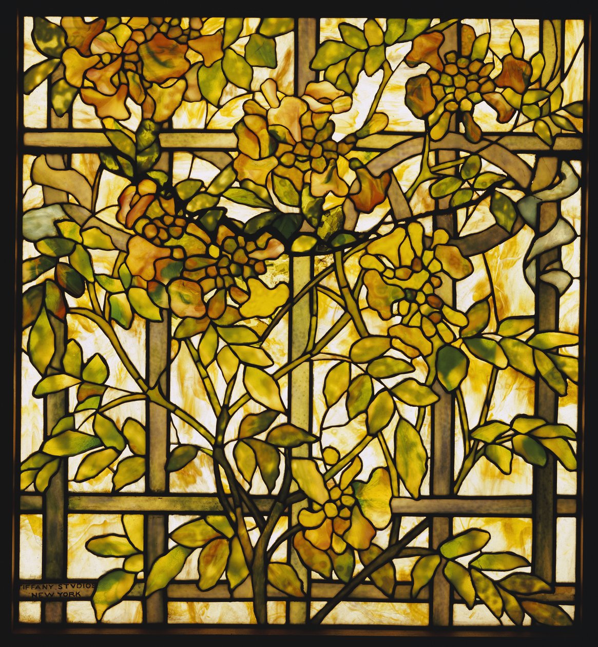 Trumpet Vine lasi-ikkuna, Tiffany Studios tekijältä Unbekannt