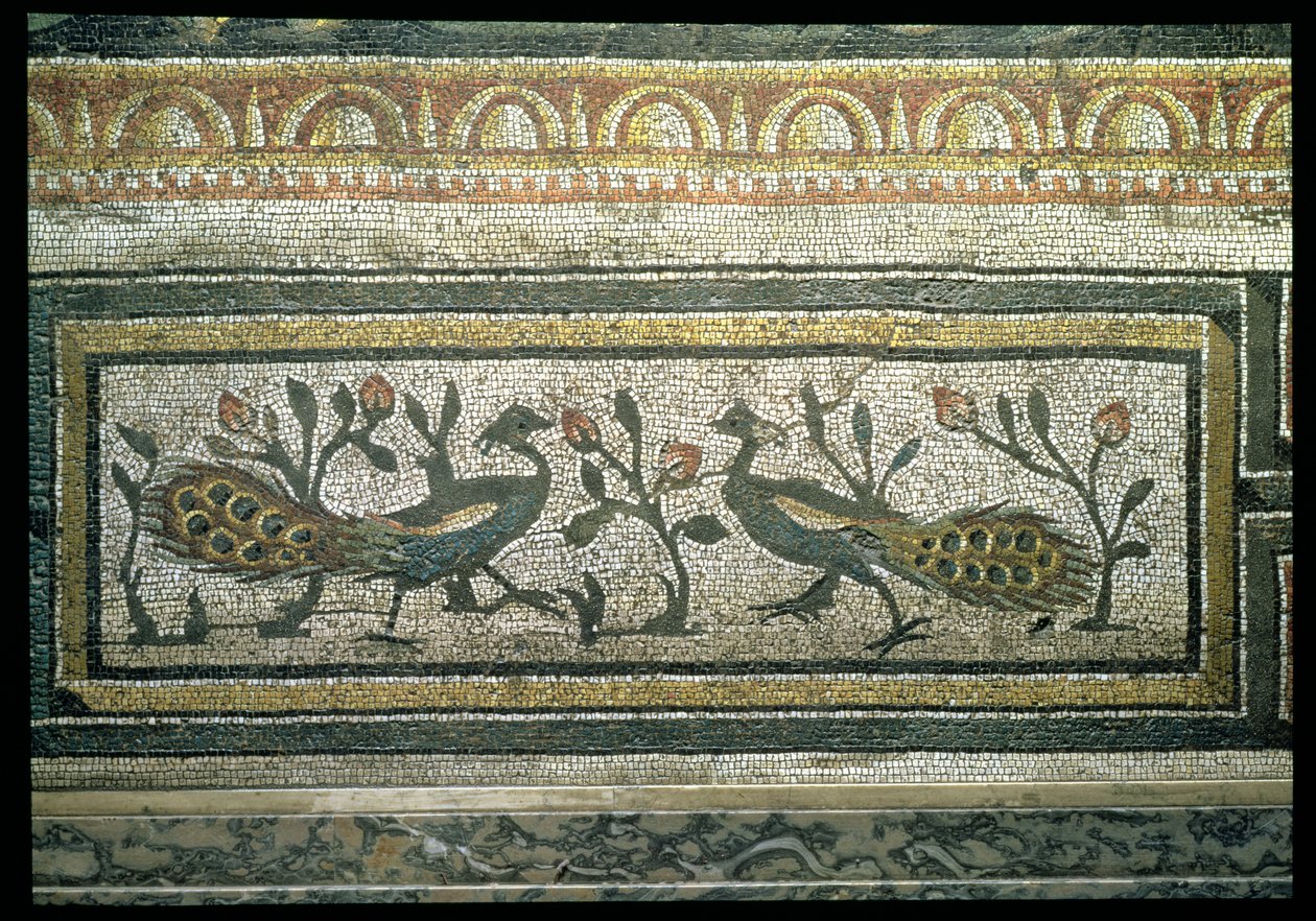Kaksi riikinkukkoa, koristeellinen reunayksityiskohta mosaiikkipäällysteestä, joka kuvaa vuodenaikoja ja metsästyskohtauksia, Constantinian-huvilasta Daphnessa, Roomassa, n. 325-330 jKr (marmori, kalkkikivi ja lasimosaiikki) (yksityiskohta 105665) tekijältä Unbekannt