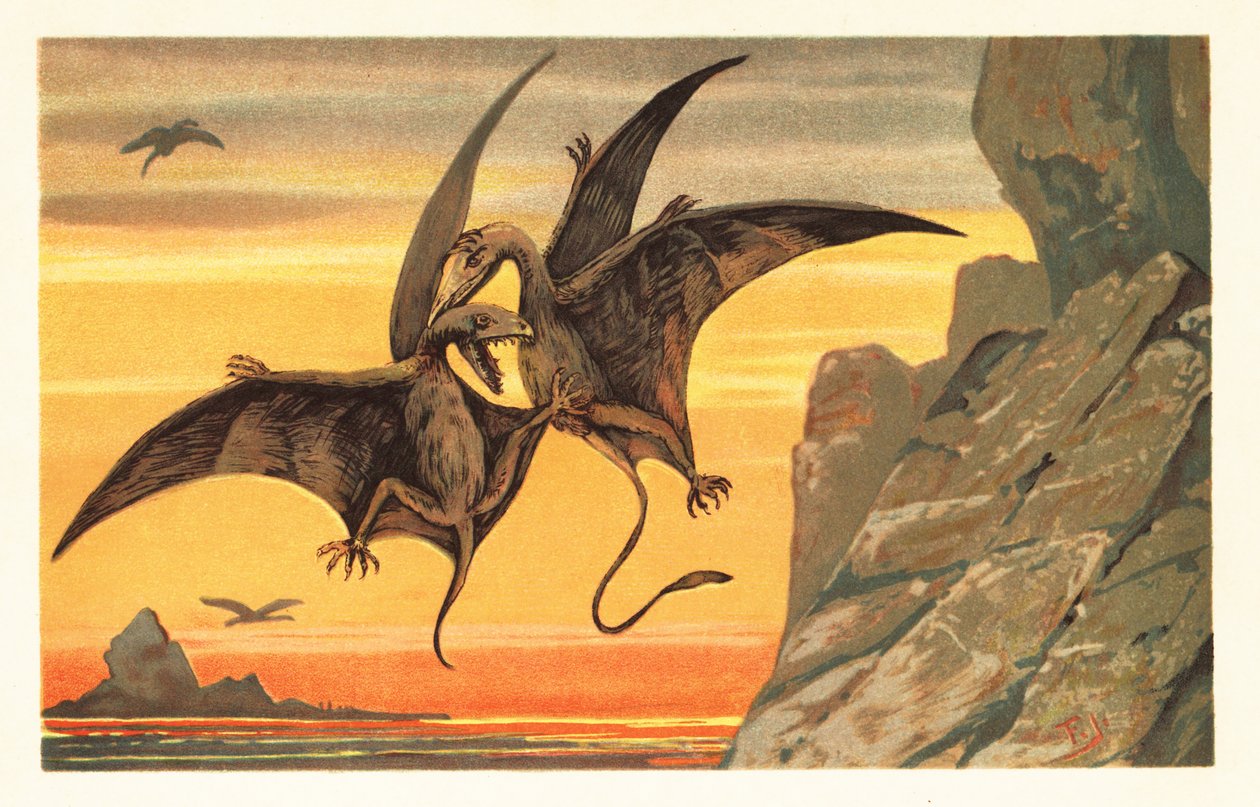 Kaksi pterodaktyyliä taistelevat puolivälissä lennon punaista taivasta vastaan.1908 (litografia) tekijältä Unbekannter Künstler