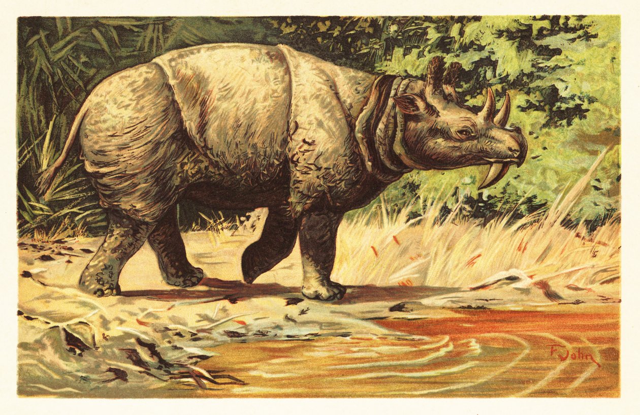 Uintatherium anceps, sukupuuttoon kuollut kasvinsyöjänisäkäs eoseenistä.1908 (litografia) tekijältä Unbekannter Künstler