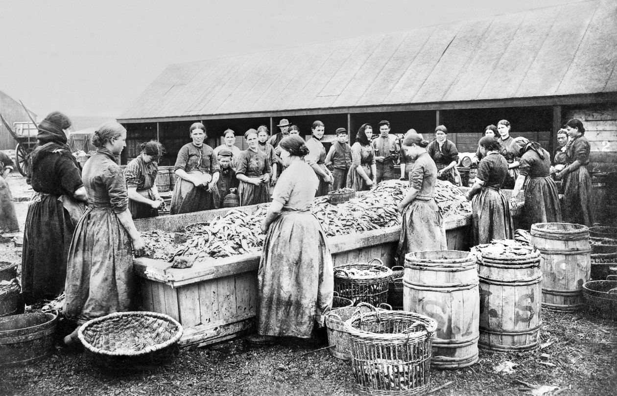 Iso-Britannia : Naiset perasivat silakkaa. Aberdeen, 1880 tekijältä Unbekannt