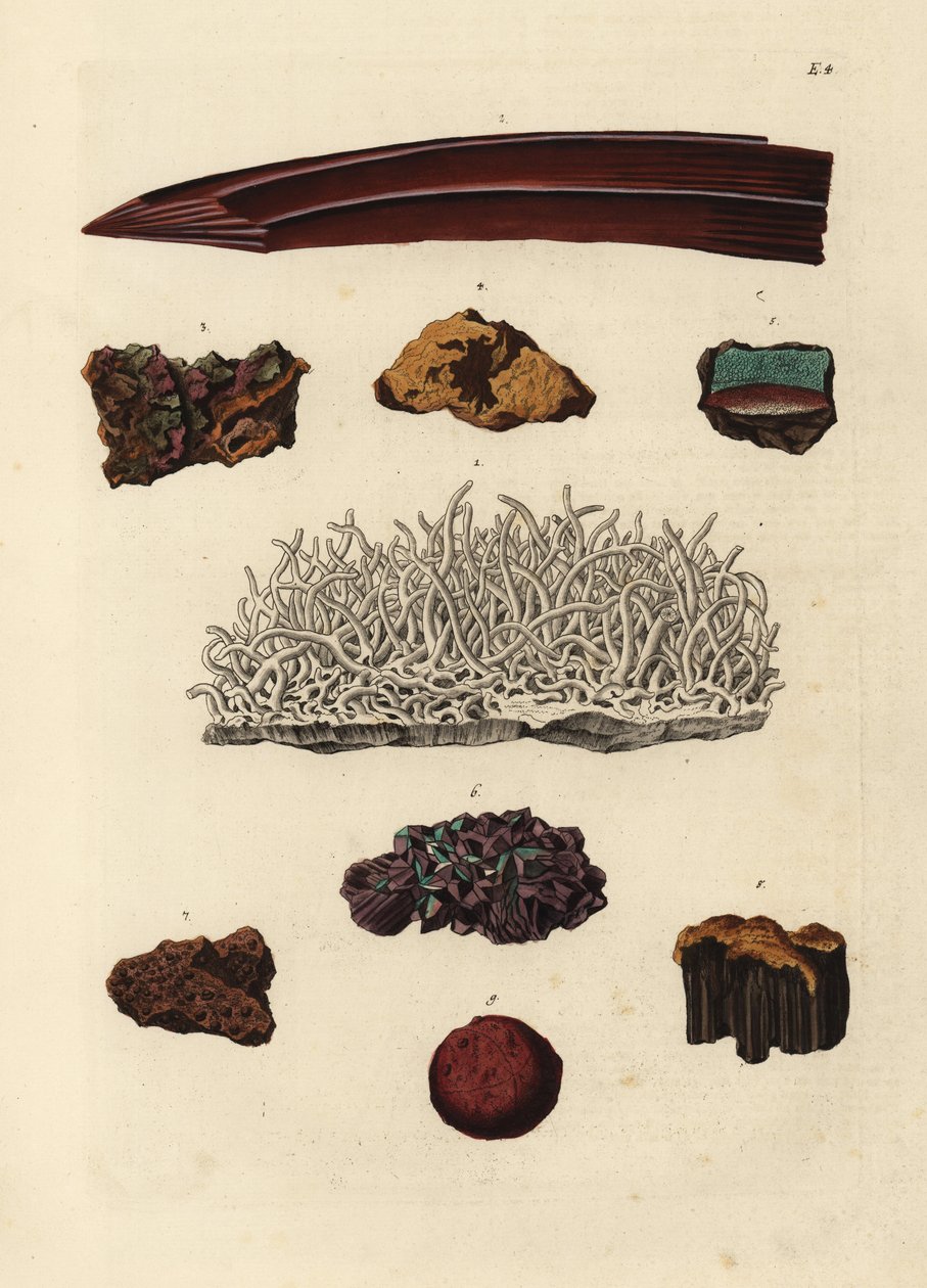 Rautamalmilajikkeet. Käsin väritetty kuparipiirros Georg Wolfgang Knorrin teoksen Deliciae Naturae Selectae of Kabinet van Zeldzaamheden der Natuur, Blusse and Son, Nürnberg, kuvituksen mukaan. tekijältä Unbekannter Künstler
