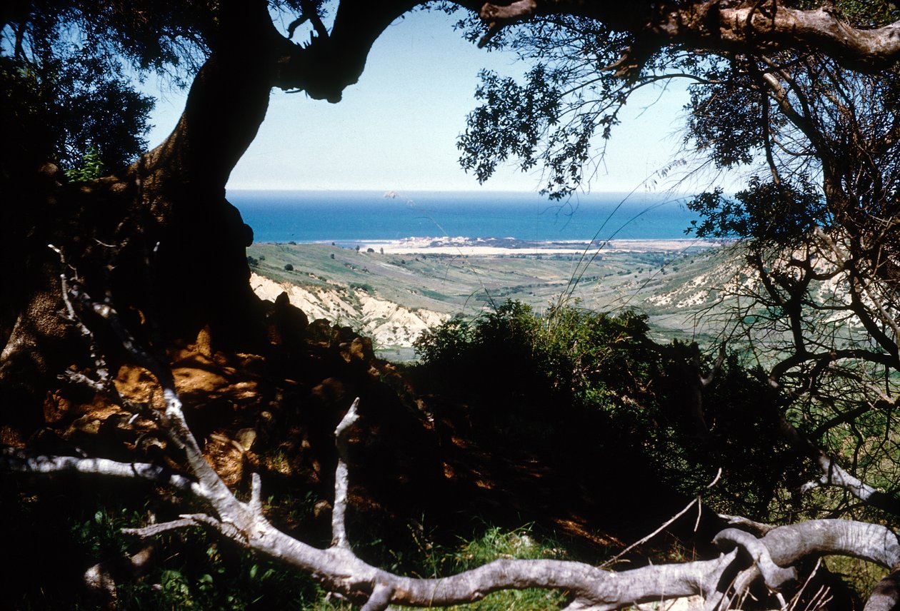 Näkymä Välimerelle, Kabylia, Algeria tekijältä Unbekannter Künstler