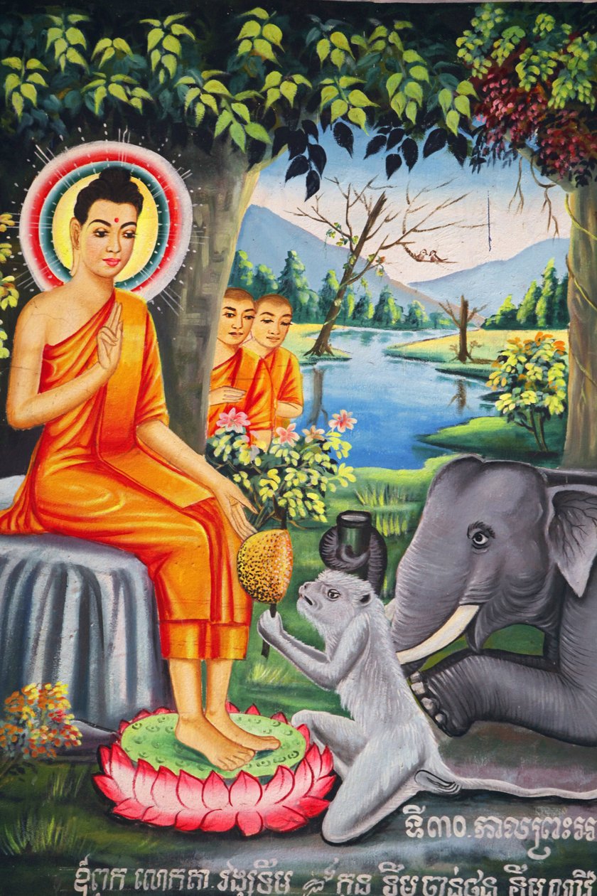 Seinämaalaus Wat Pitchey Udongissa: Kohtaus Buddhan elämästä. Buddhaa ruokkii apina, kun hän paastoi Kampot Cambodgea tekijältä Unbekannt