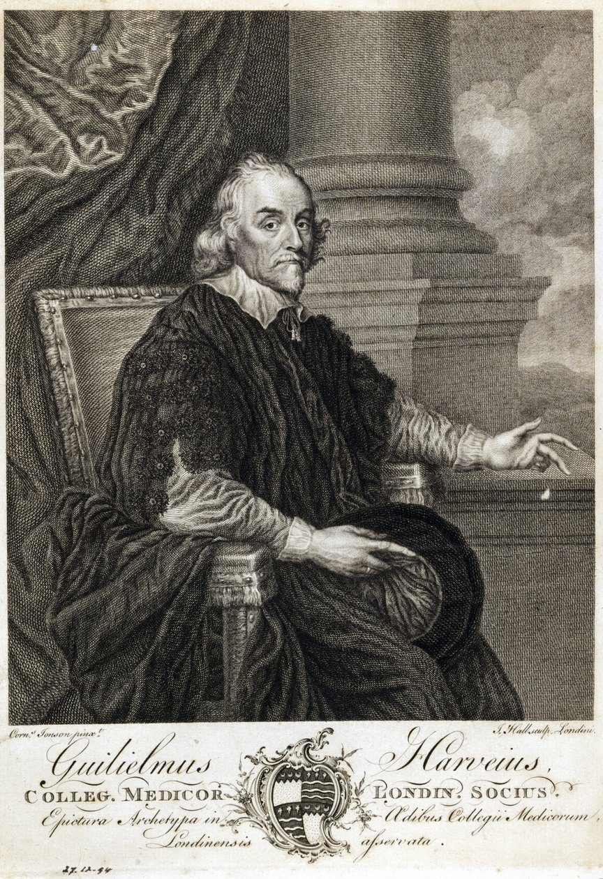 William Harvey, englantilainen lääkäri tekijältä Unbekannt