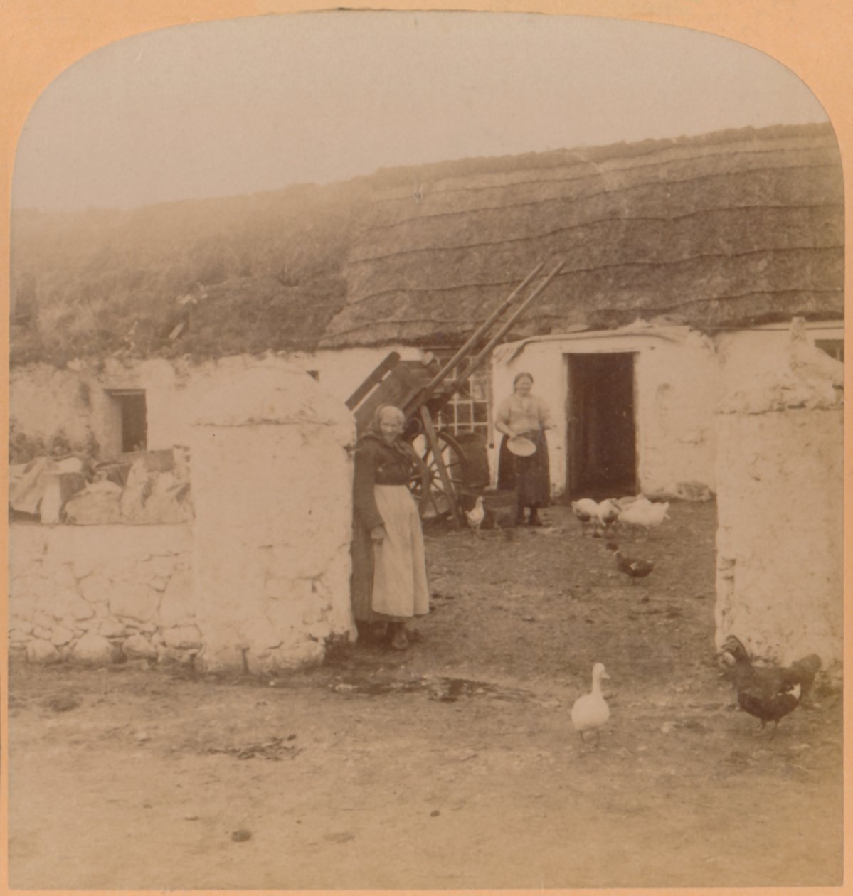 Ominainen koti, Ballintoy Village, Antrimin kreivikunta, Irlanti, 1900. tekijältä Underwood and Underwood