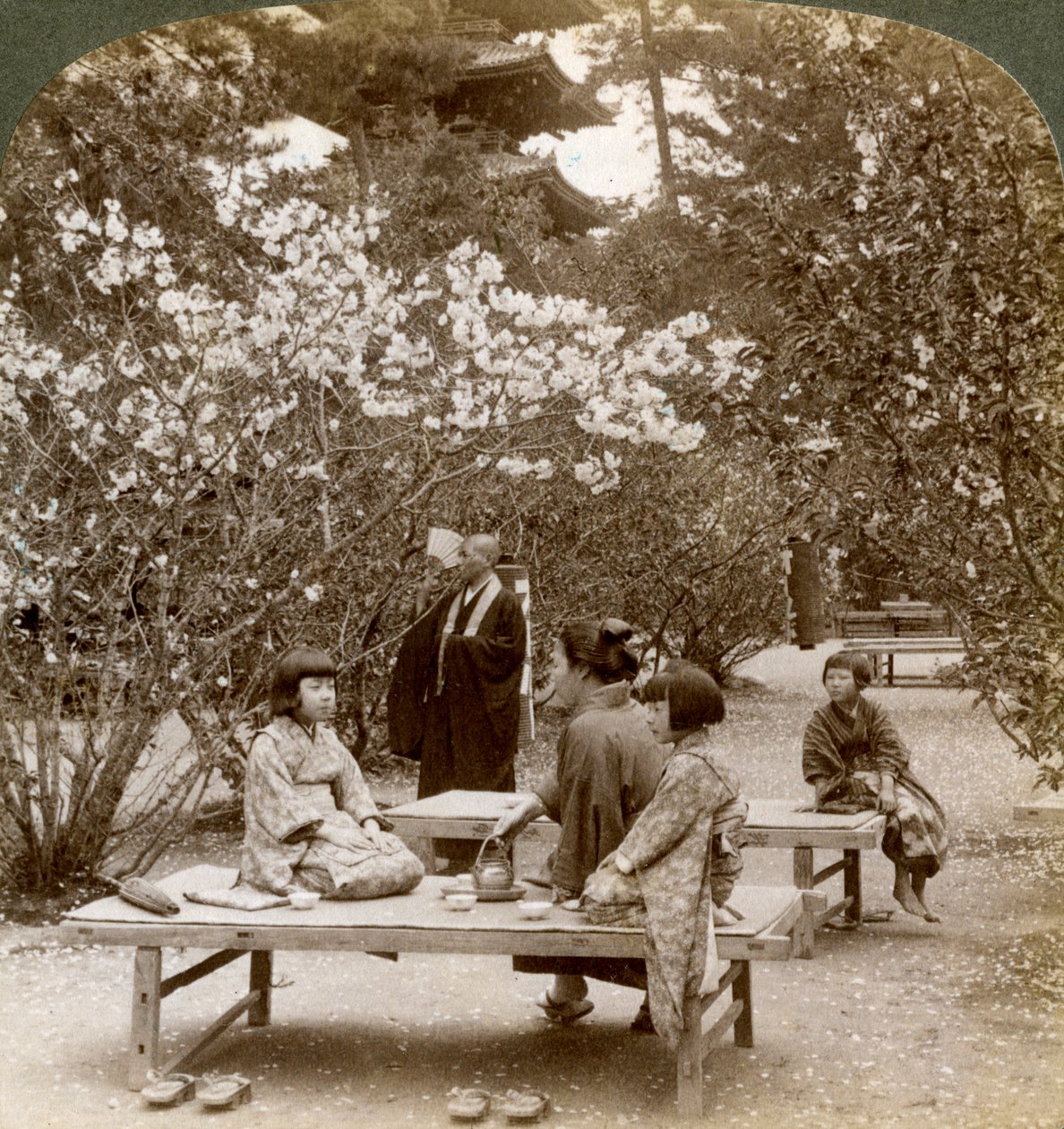 Perhe nauttimassa piknikistä kirsikankukkien alla, Omuro Gosho, Kioto, Japani, 1904. tekijältä Underwood and Underwood
