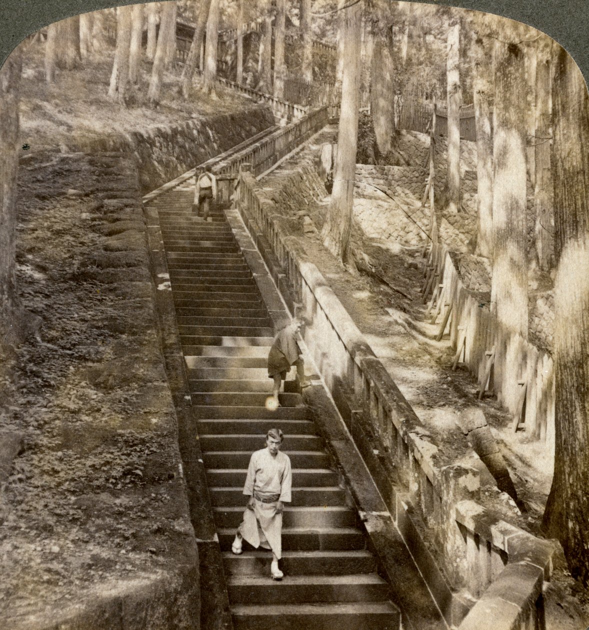 Muinainen kiviportaat ylös mäkeä Shogun Ieyasun haudalle, Nikko, Japani, 1904. tekijältä Underwood and Underwood