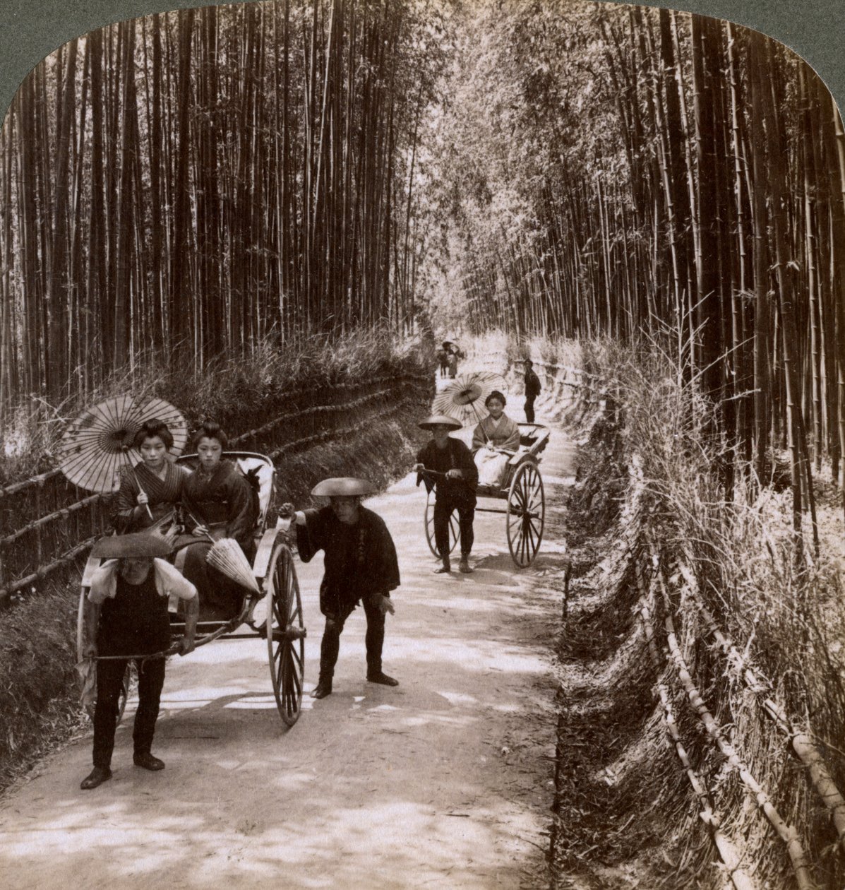 Bamboo Avenue, lounaaseen, lähellä Kiyomizua, Kioto, Japani, 1904 tekijältä Underwood and Underwood