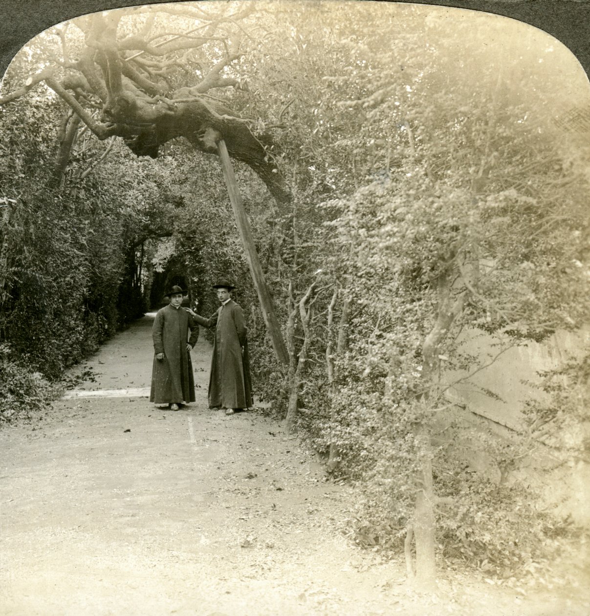 Bower of St Anthony, Vatikaanin puutarhat, Rooma, Italia. tekijältä Underwood and Underwood
