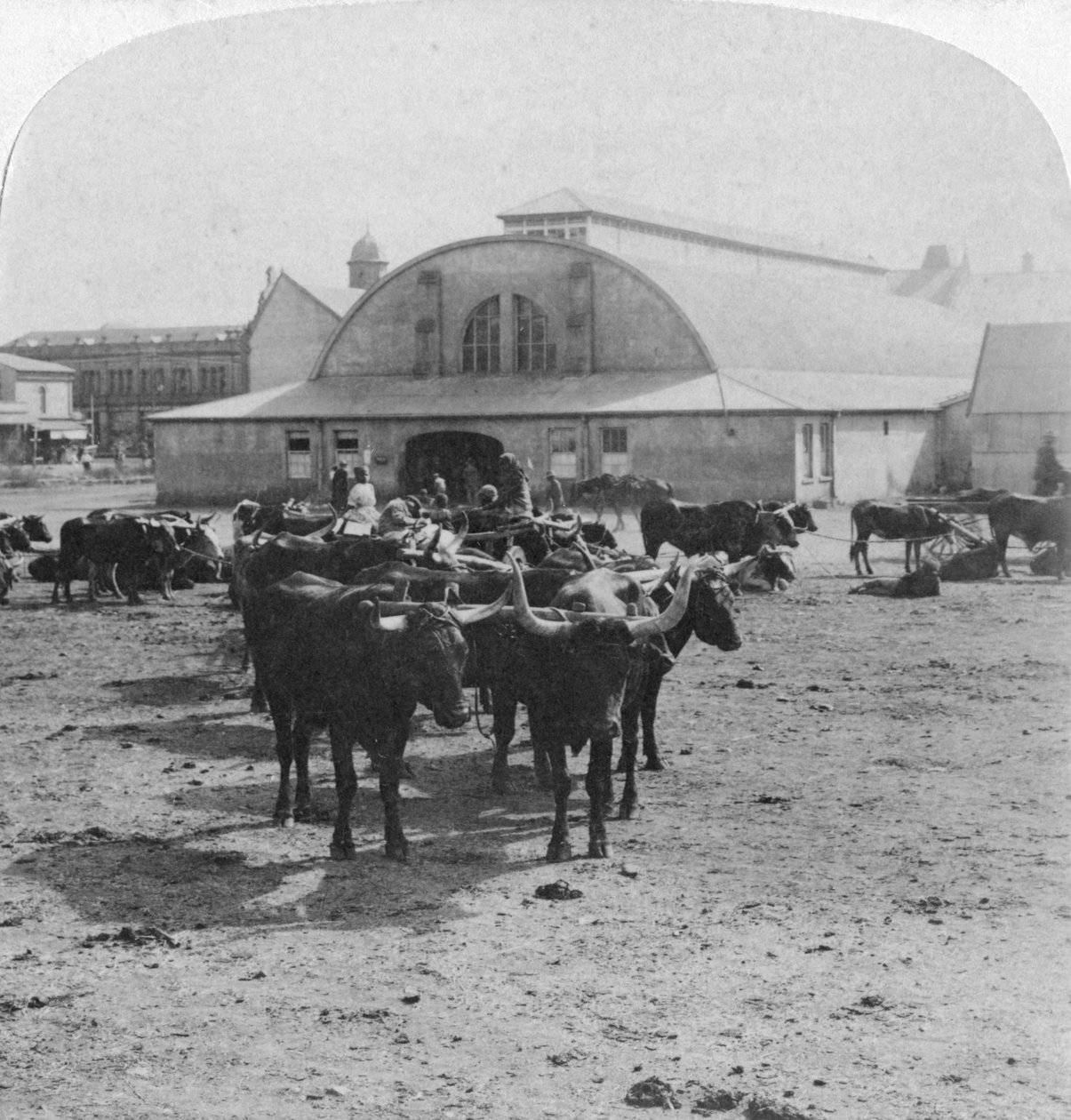 Rakennus, jossa sotavankeja tuomittiin, Pretoria, Etelä-Afrikka, Buurien sota, 1901 tekijältä Underwood and Underwood