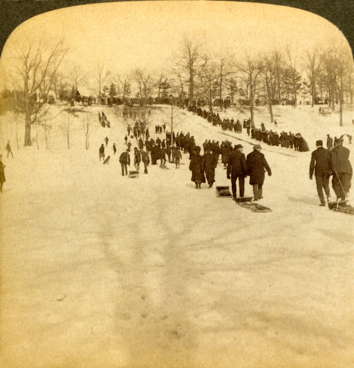 Kanadan talviurheilu - kelkkailu, 1905. tekijältä Underwood and Underwood