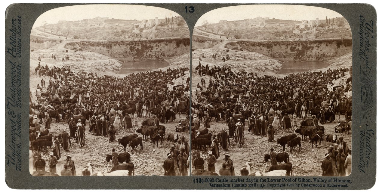 Nautamarkkinapäivä Gihonin alemmassa altaassa, Hinnomin laaksossa, Jerusalemissa, Palestiinassa, 1900. tekijältä Underwood and Underwood