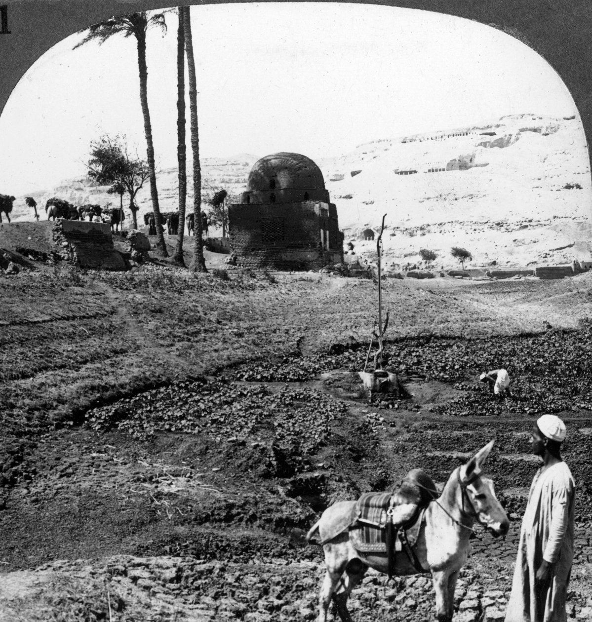 Assiutin lordien kalliohaudat, Egypti, 1905. tekijältä Underwood and Underwood