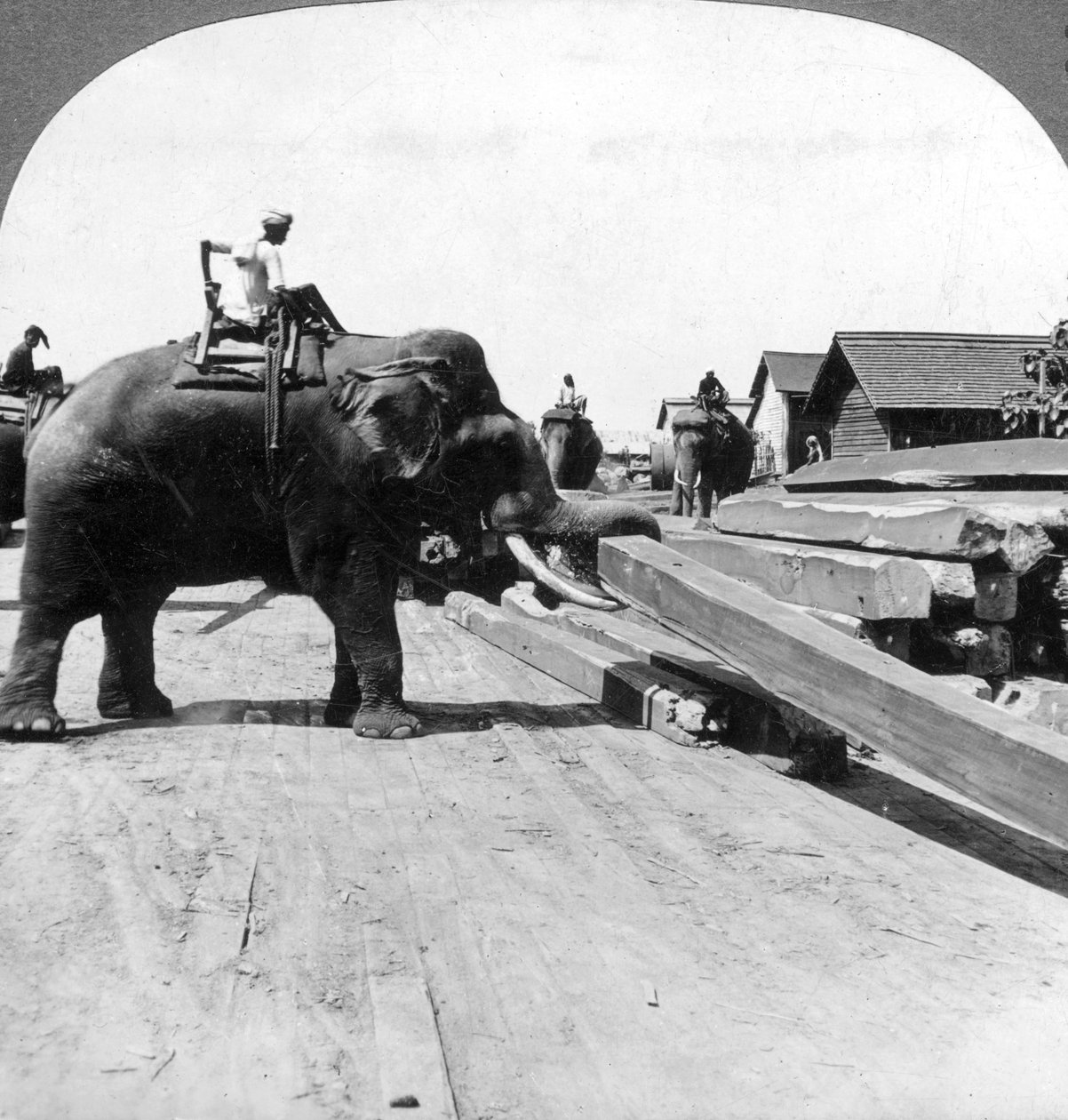 Elefantit siirtävät puutavaraa, Rangoon, Burma Myanmar, 1900-luku. tekijältä Underwood and Underwood