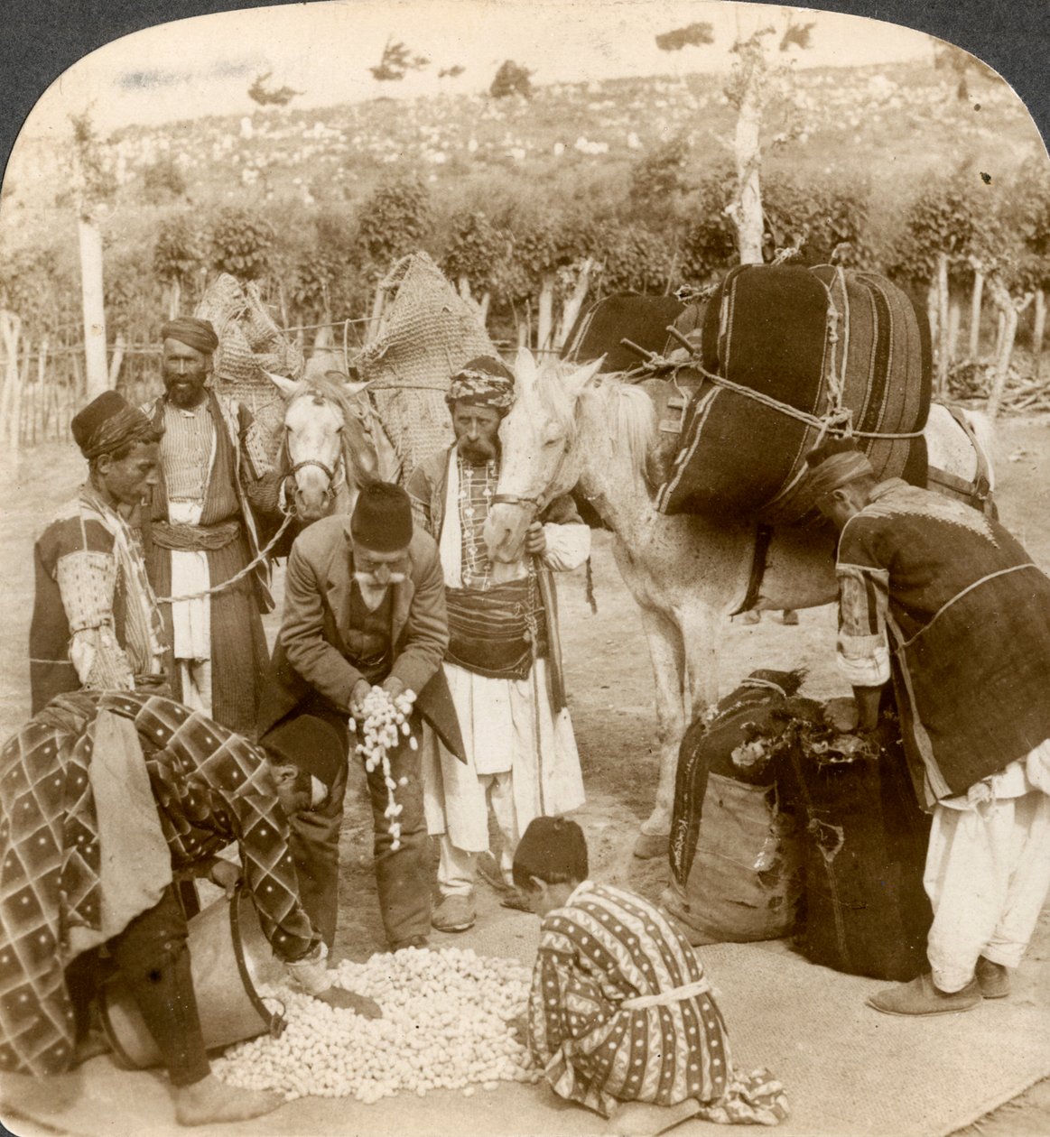 Asiantuntijat ostavat silkkikoteloita vientiin Ranskaan, Antiokiaan, Syyriaan, 1900-luku. tekijältä Underwood and Underwood