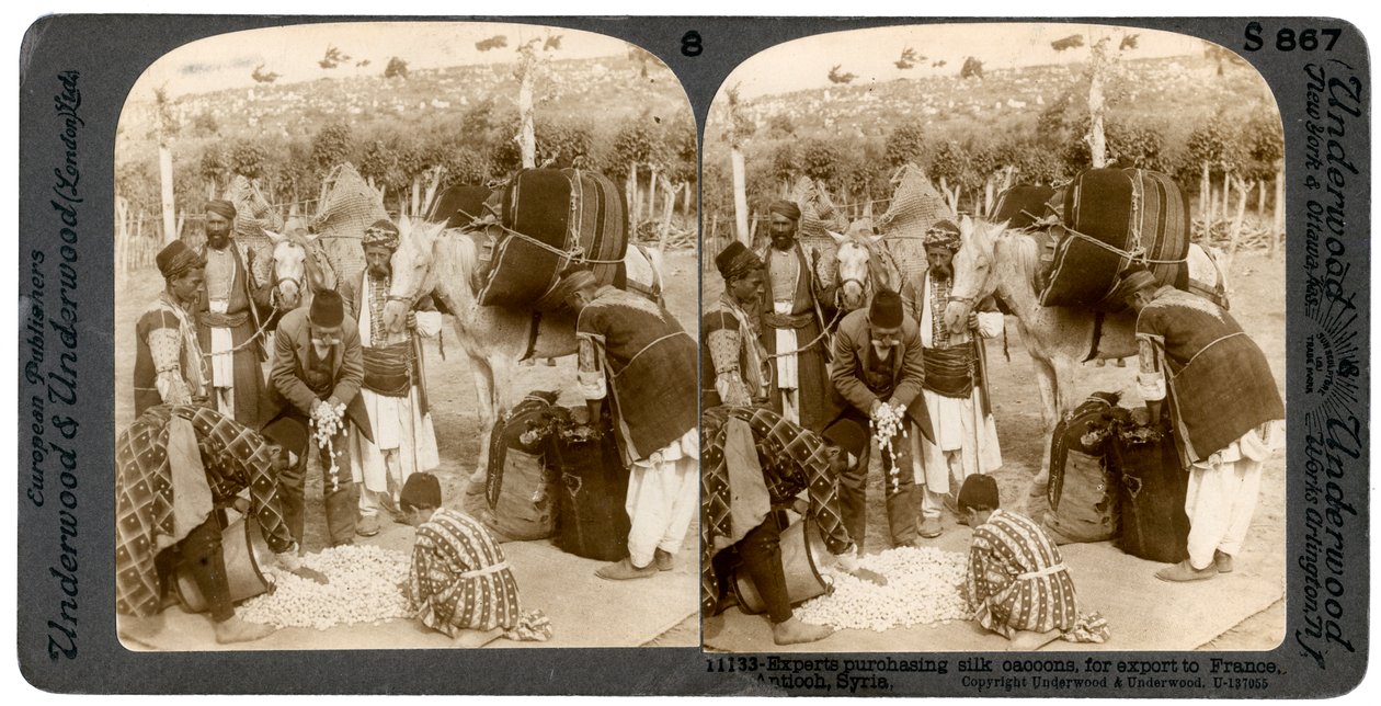 Asiantuntijat ostavat silkkikoteloita vientiin Ranskaan, Antiokiaan, Syyriaan, 1900-luku. tekijältä Underwood and Underwood