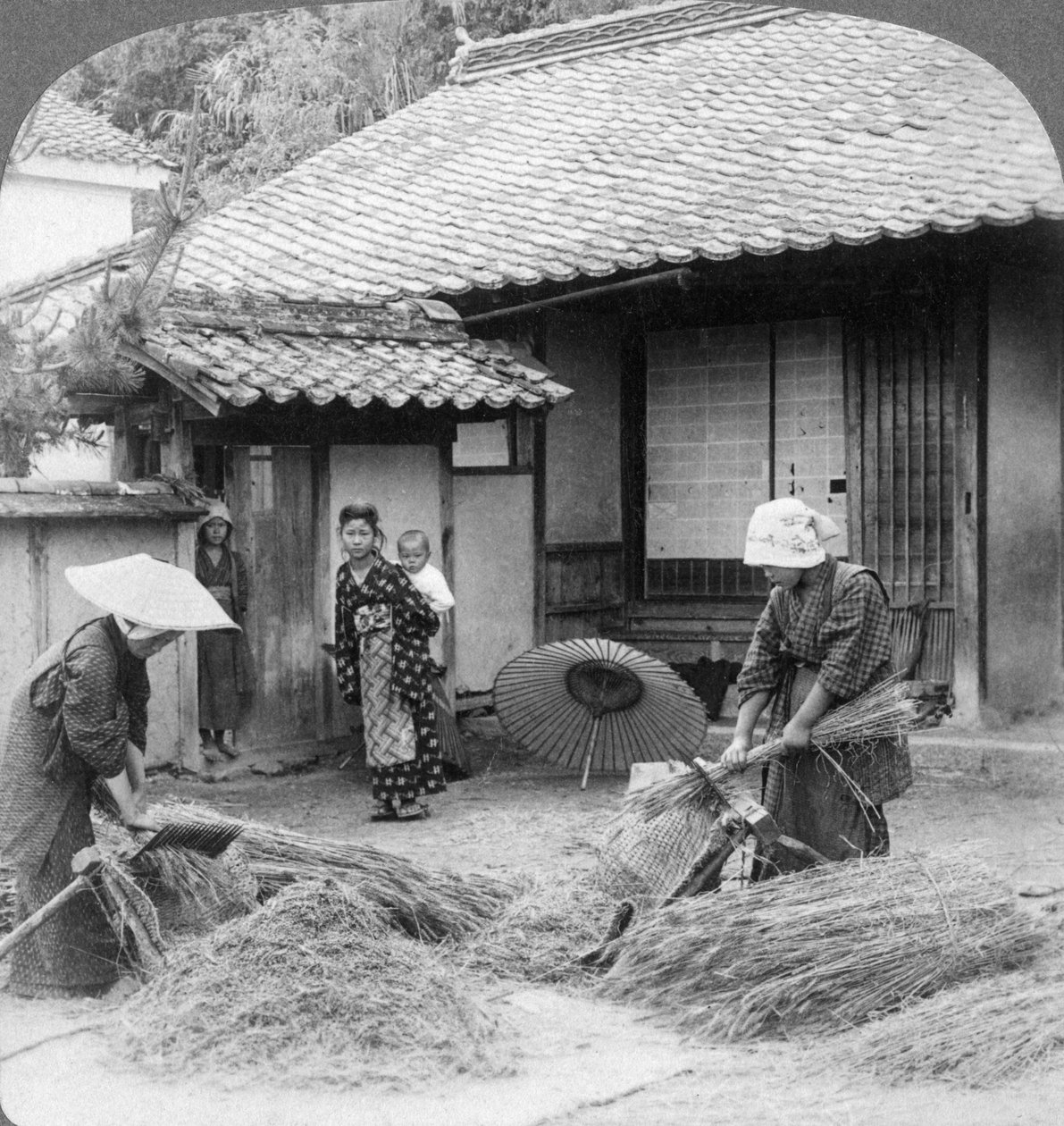 Maanviljelijöiden vaimot töissä, Iwakuni, Japani, 1904. tekijältä Underwood and Underwood