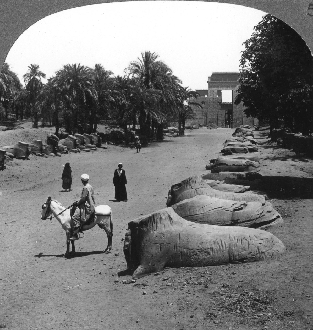 Grand Avenue lähestyy Karnakin temppeliä, Thebes, Egypti, 1905. tekijältä Underwood and Underwood