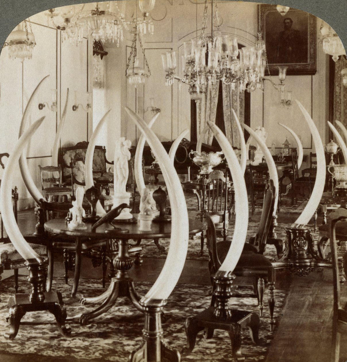 Hall of Tusks, Lady de Soysan kotona, Bambalapitiya, Colombo, Ceylon, 1903 tekijältä Underwood and Underwood