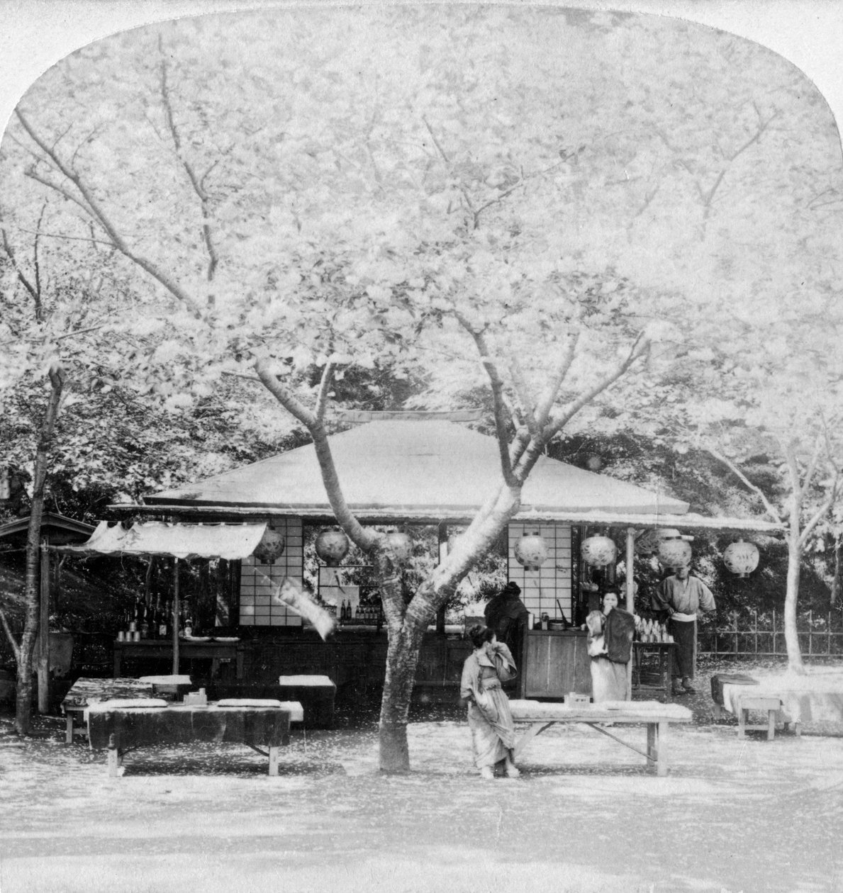 Kukkakunnan sydämessä Nara, Japani, 1896. tekijältä Underwood and Underwood