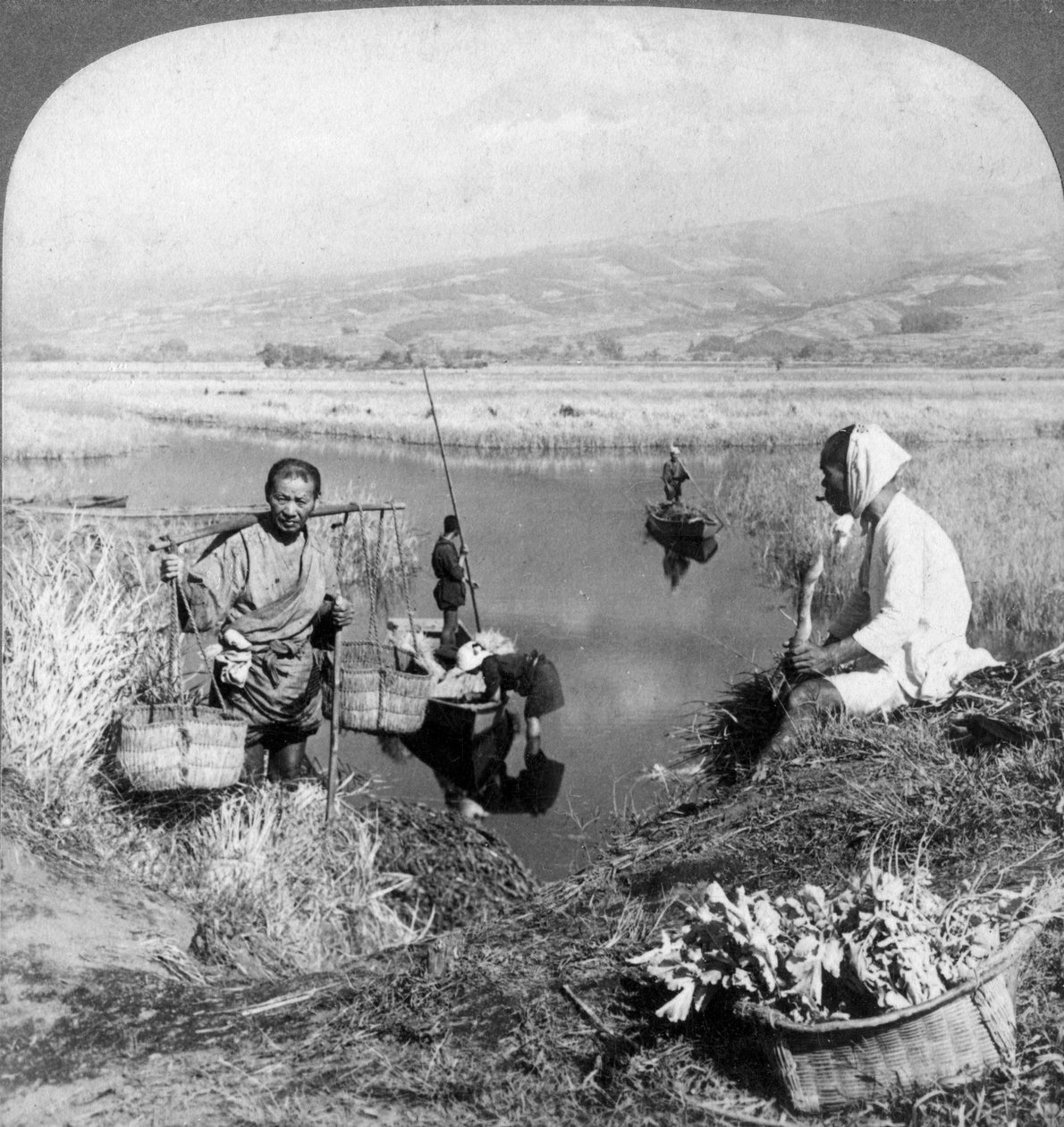 Men gathering rushes near Suzukawa, Fujiyama, Japan, 1904. tekijältä Underwood and Underwood