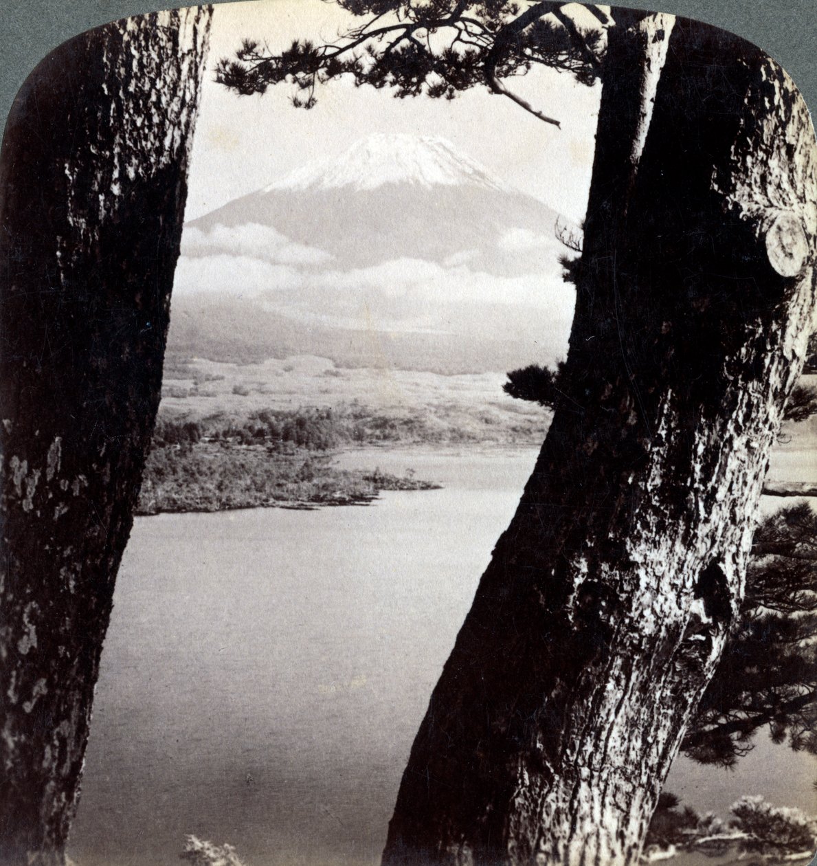 Fuji-vuori, katsottuna luoteesta, mäntyjen läpi Motosu-järvellä, Japanissa, 1904 tekijältä Underwood and Underwood
