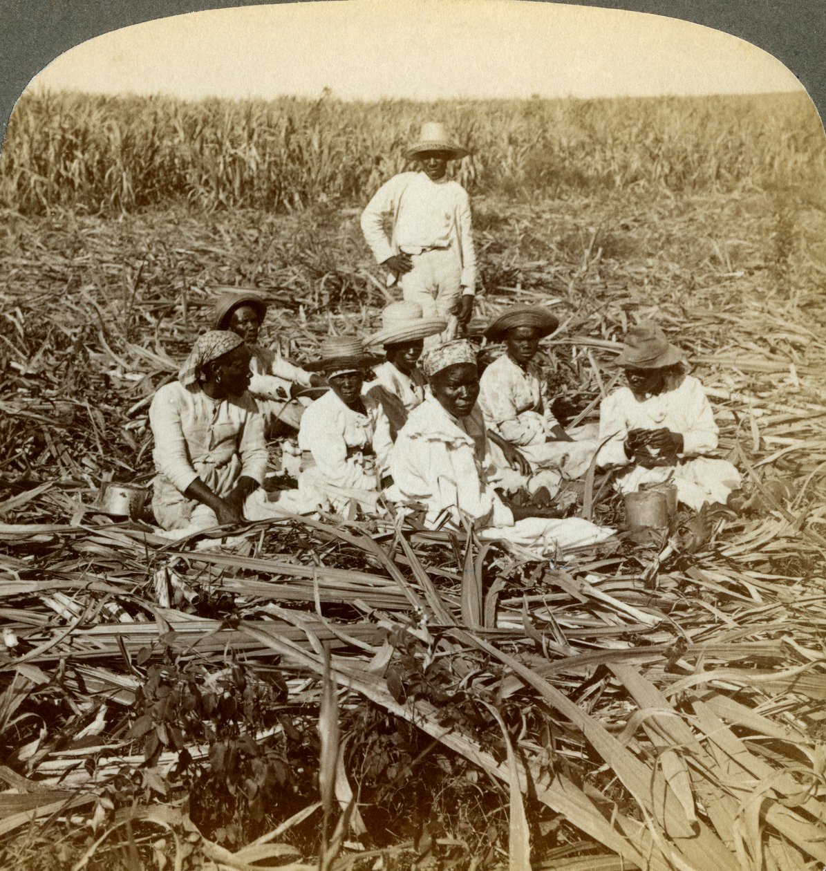 La Unionin sokeriviljelmällä, San Luisissa, Santiagon maakunnassa, Kuubassa, 1899. tekijältä Underwood and Underwood