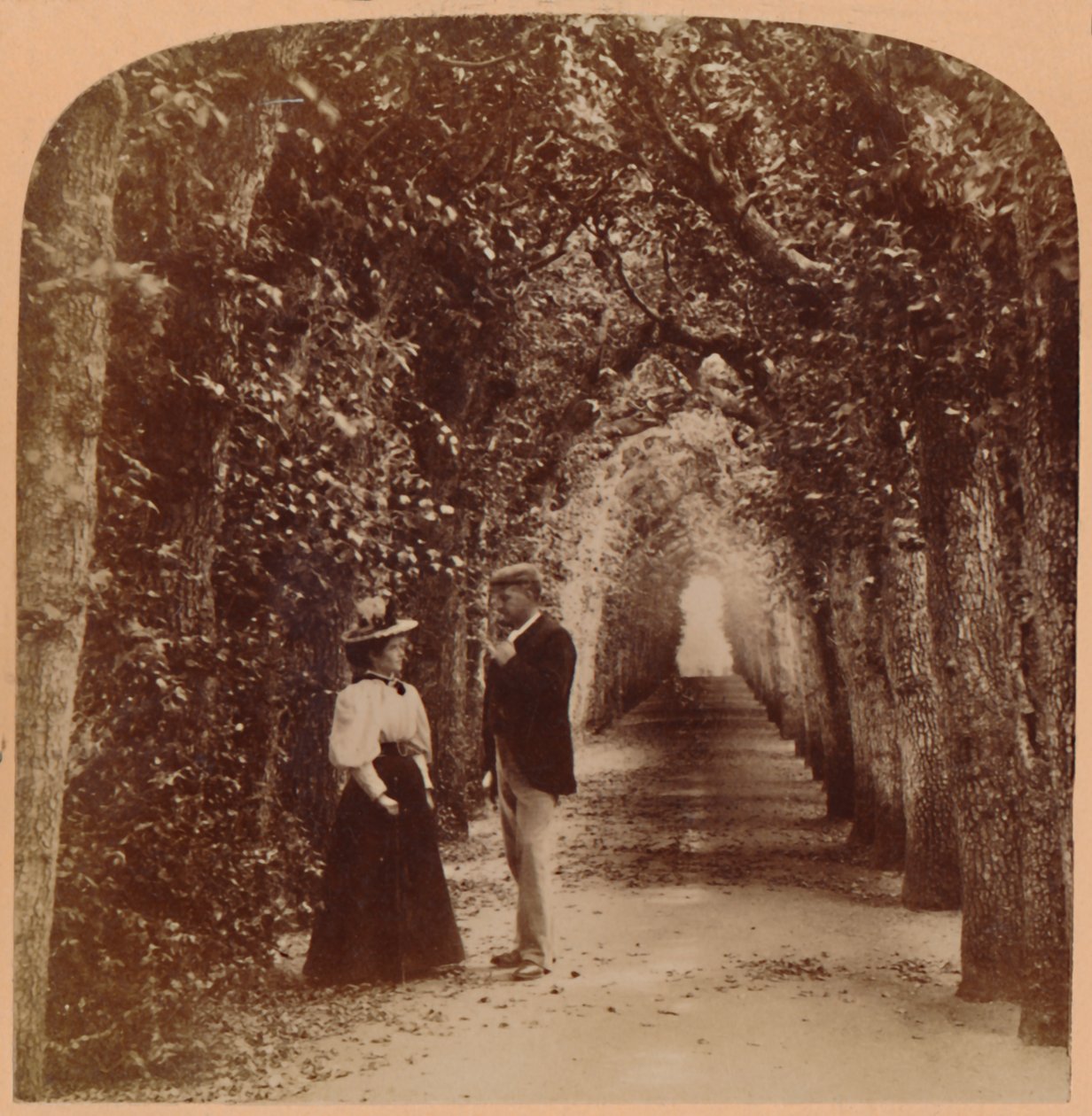 Queen Marys Bower, Hampton Court, Lontoo, Englanti, 1896. tekijältä Underwood and Underwood