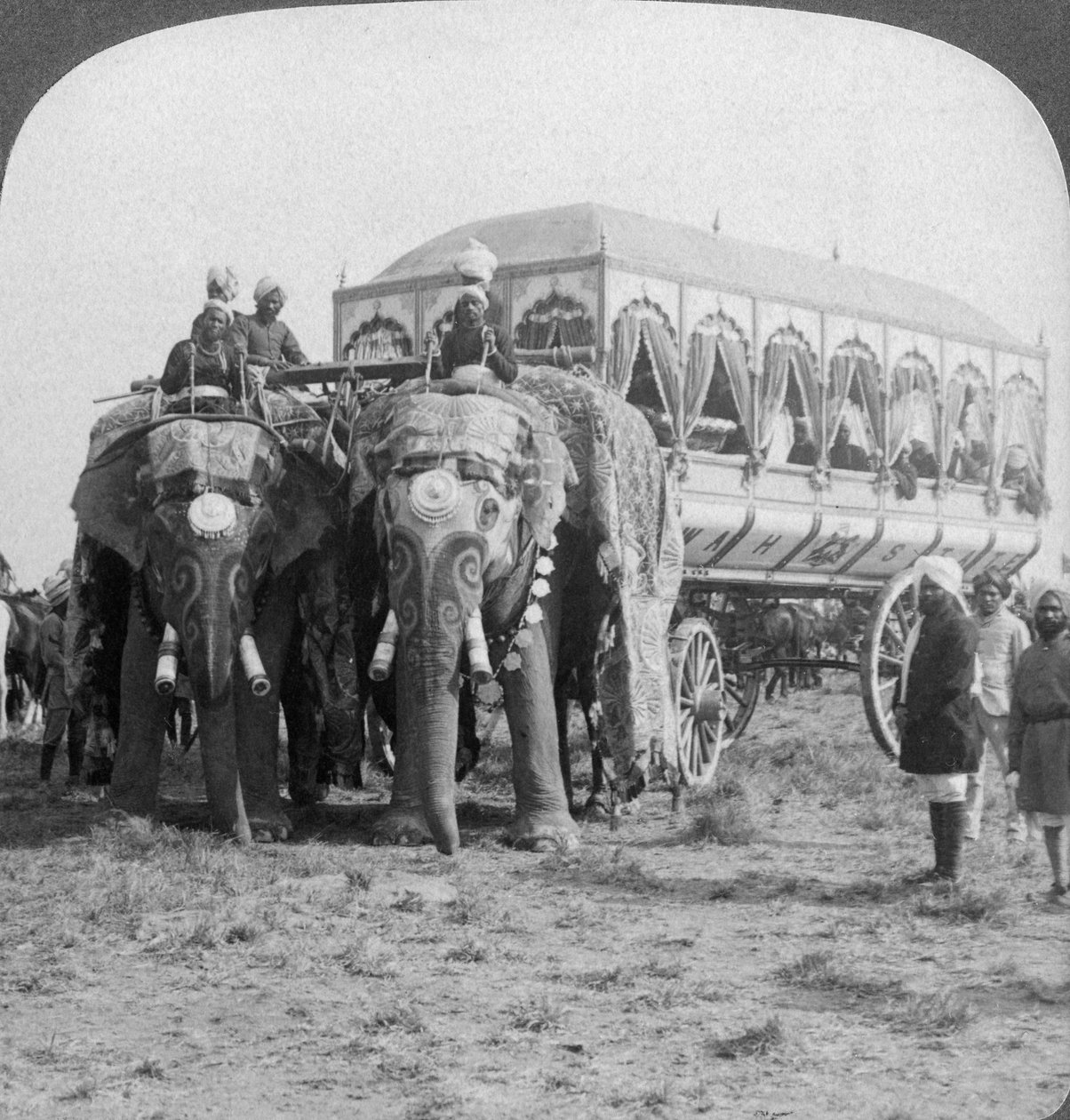 Runsaasti koristellut norsuja ja Rewan Maharajan vaunut Delhi Durbarissa Intiassa, 1903 tekijältä Underwood and Underwood