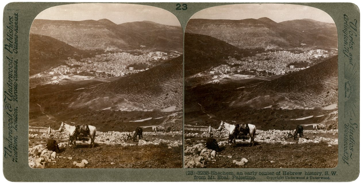 Shechem, lounaaseen Ebal-vuorelta, Palestiinasta, 1900-luku. tekijältä Underwood and Underwood