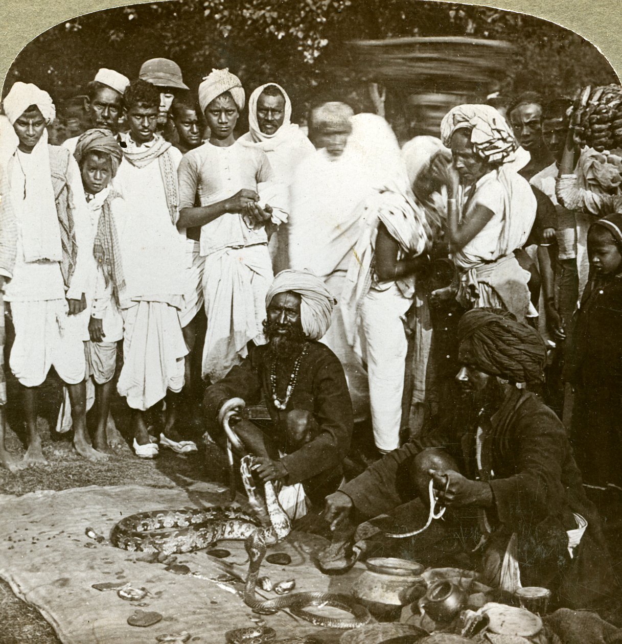 Käärmeen hurmaaja, Kalkutta, Intia, 1900-luku. tekijältä Underwood and Underwood